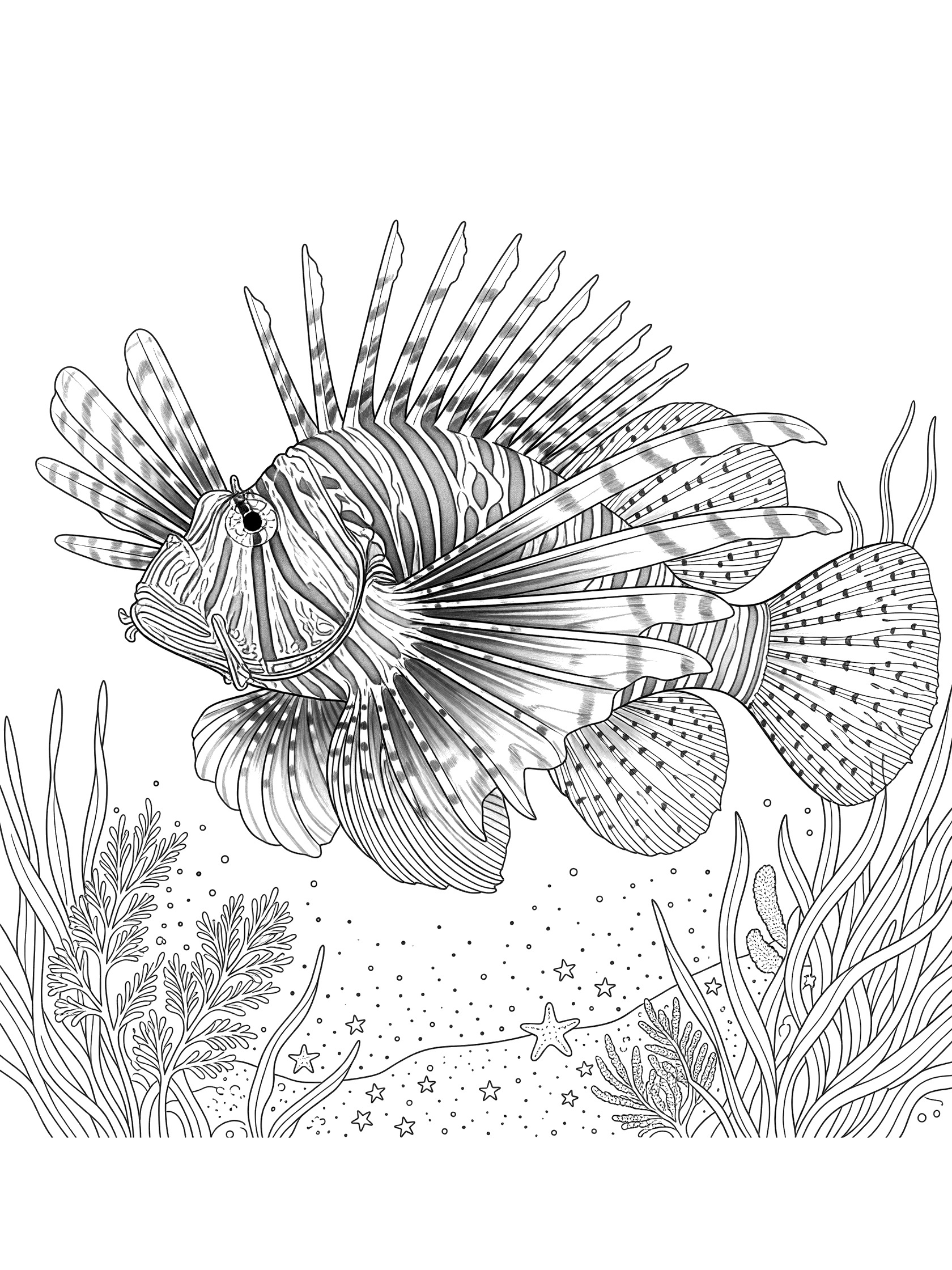 Black and white line art coloring page of a lionfish with long spines, detailed fins, surrounded by ocean plants and starry seafloor on white background.