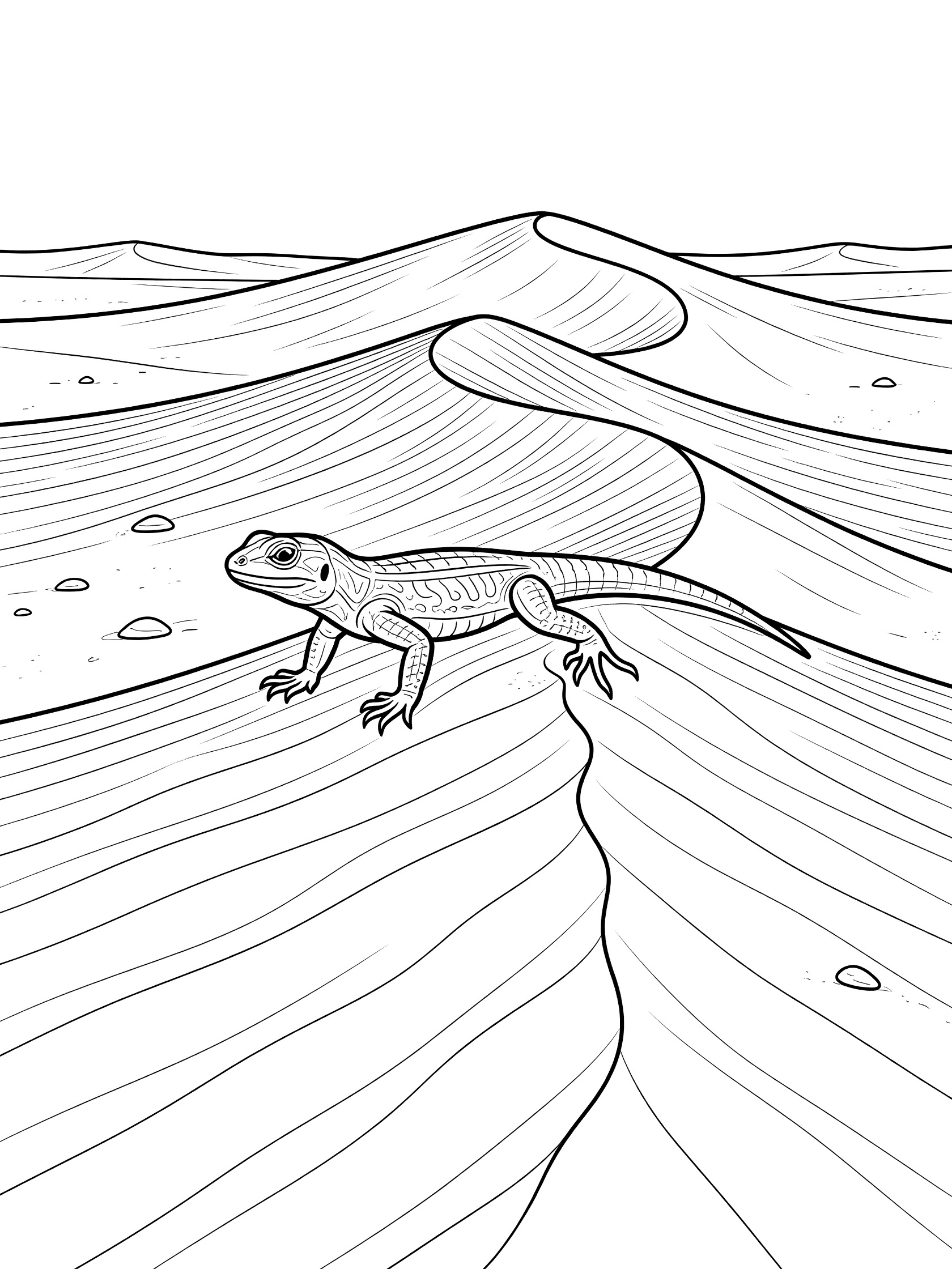 Black and white line art coloring page showing a lizard moving along the crest of wavy sand dunes with intricate patterns and nearby rocks