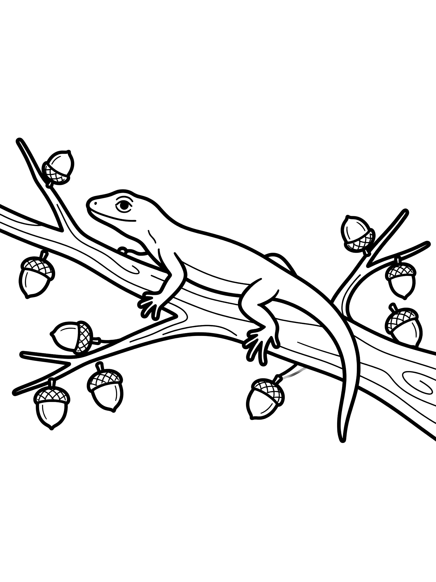 Black and white line art coloring page showing a lizard stretched out on a curved tree branch surrounded by acorns and small twigs.