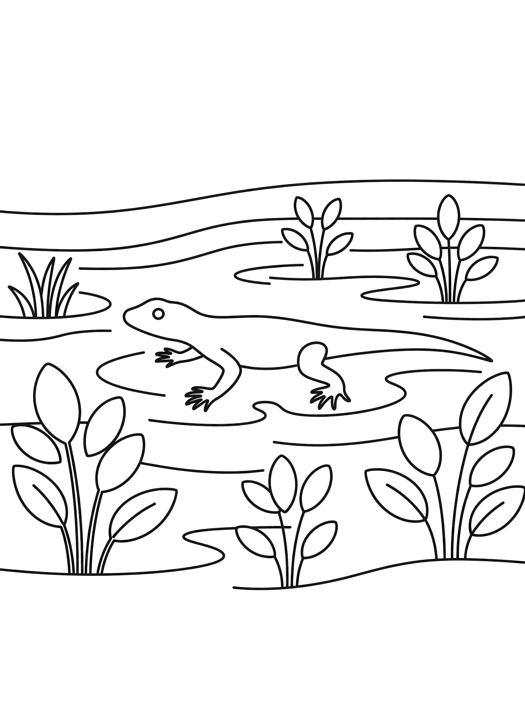 Black and white line art coloring page showing a lizard swimming in shallow water with wavy ripples and simple water plants.