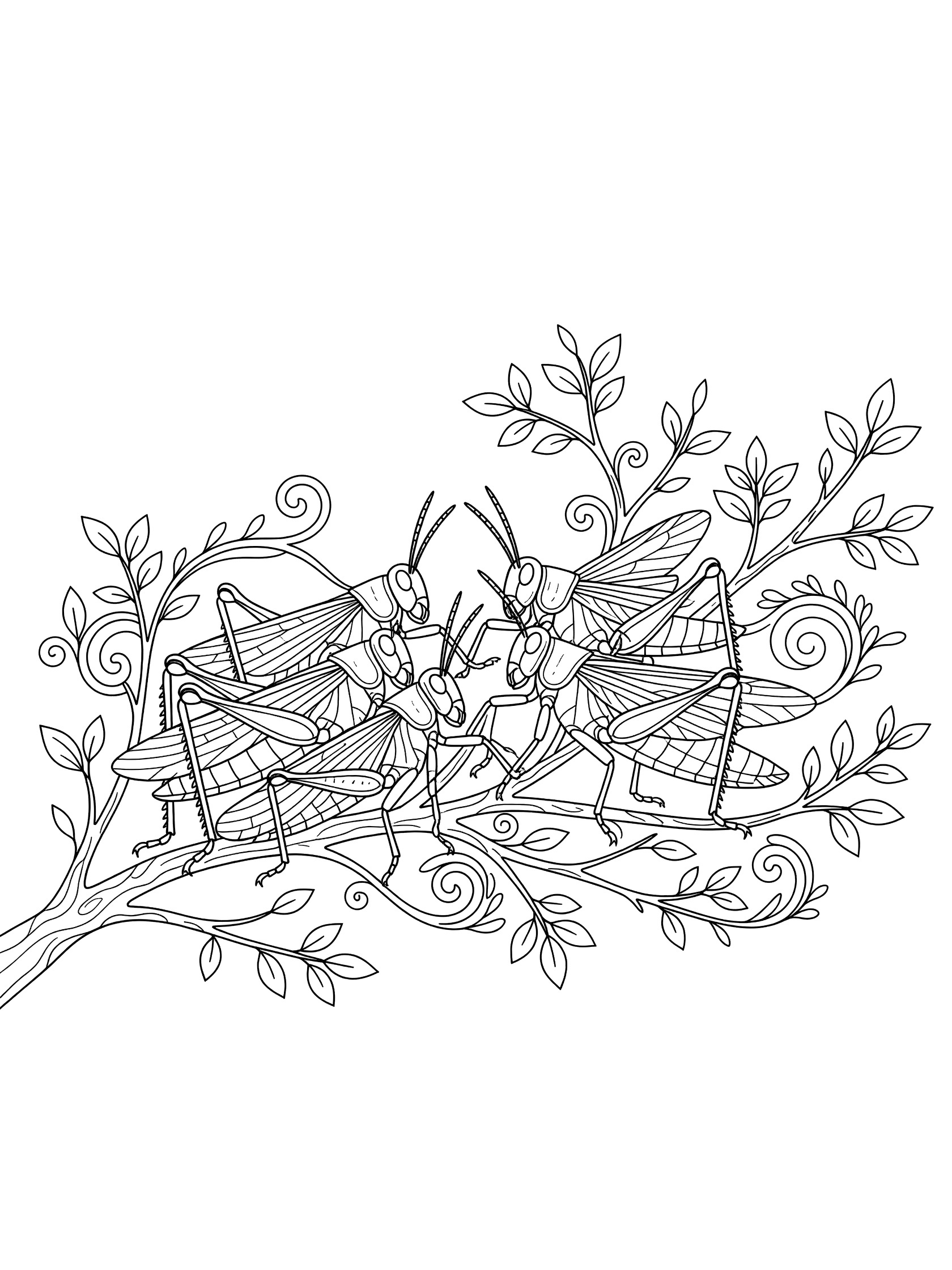 Black and white line art coloring page showing several locusts with wings and legs on twisting vines, branches, and leaves.