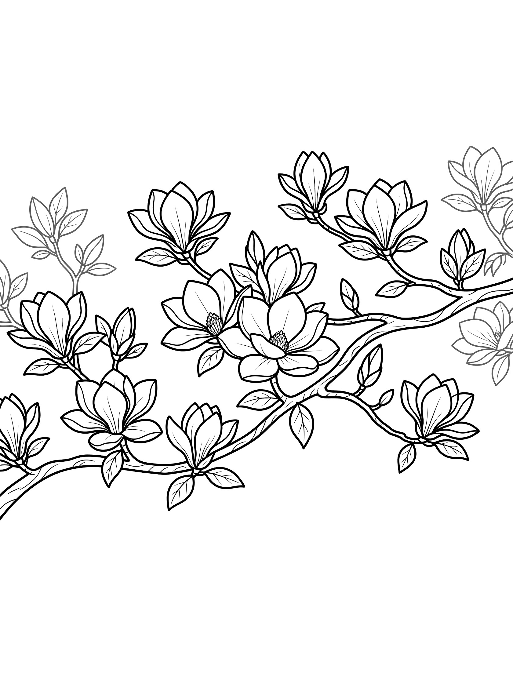 Black and white line drawing of a curved magnolia branch with open flowers, shiny leaves, and small buds for coloring. Magnolia Tree themed black and white printable line art