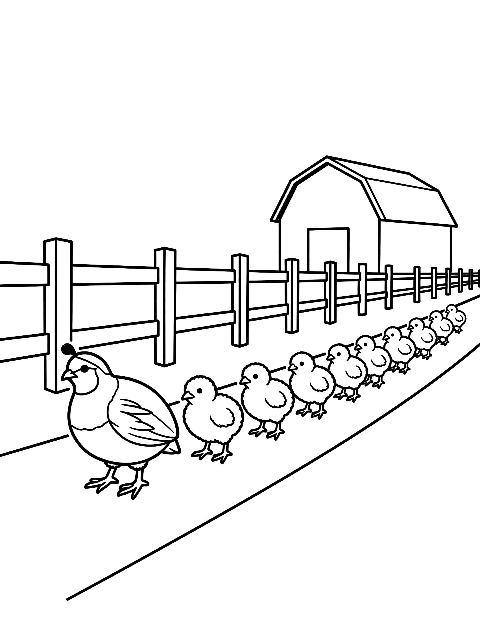 Black line art coloring page showing a mother quail leading a line of chicks on a farm path with wooden fence and barn in the background