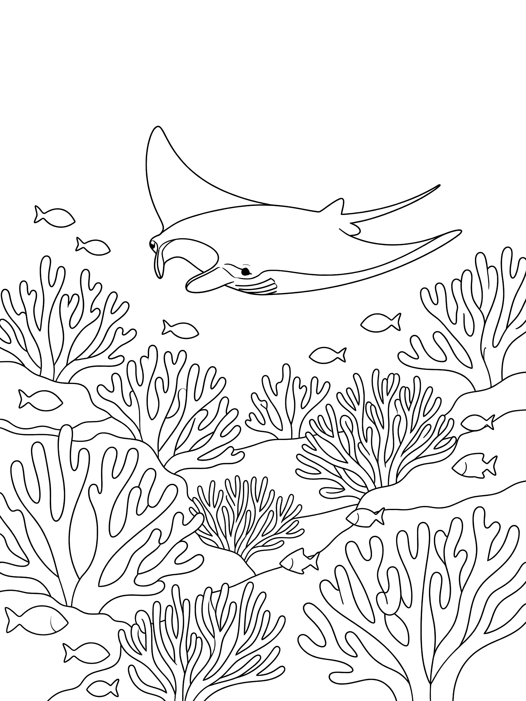 Black and white line art coloring page showing a large manta ray gliding above branching coral reef and small darting fish in underwater scene.