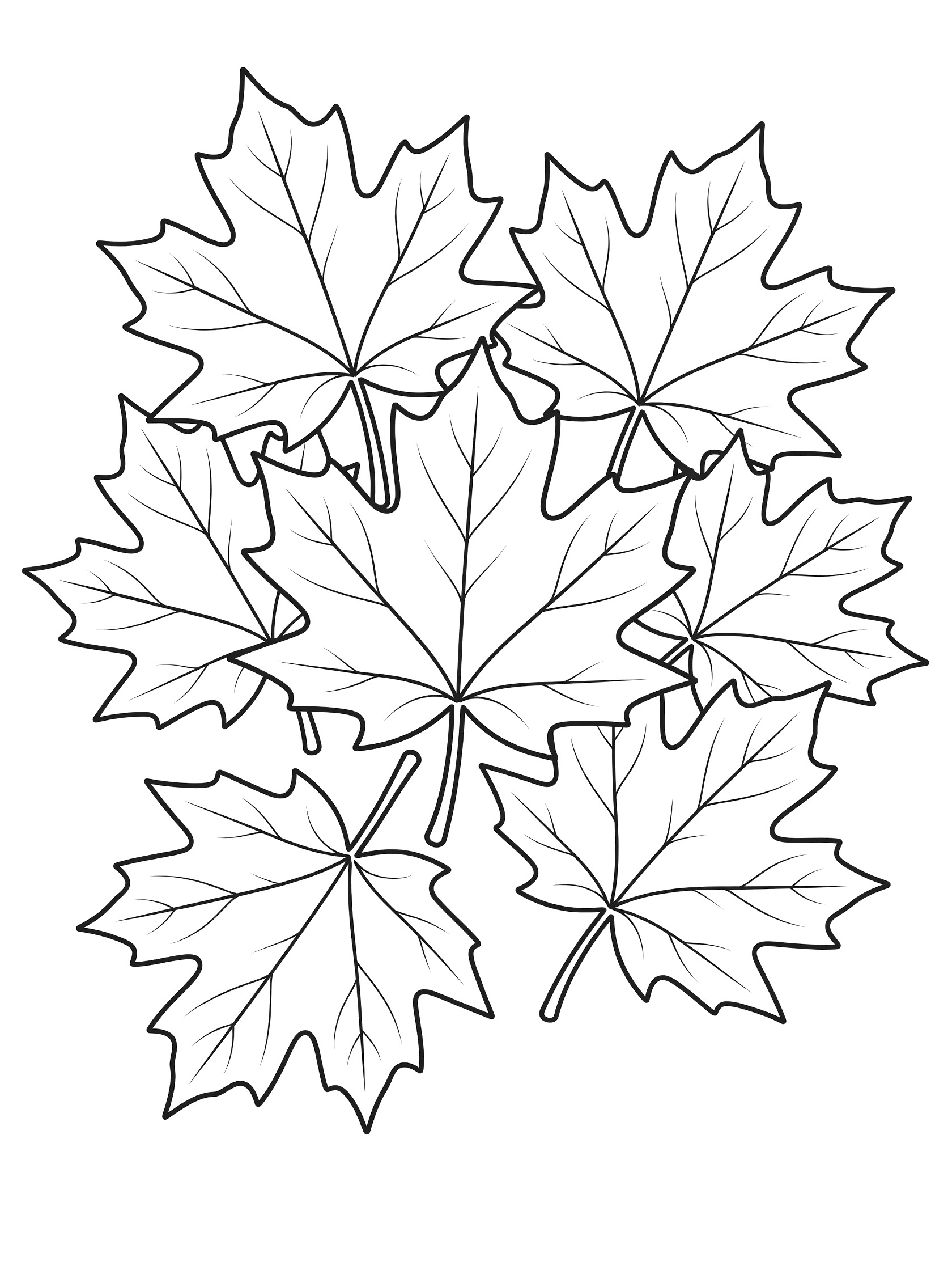 Black and white line art coloring page of several large maple leaves overlapping with pointed lobes, veins and stems on white background. Maple Tree themed black and white printable line art