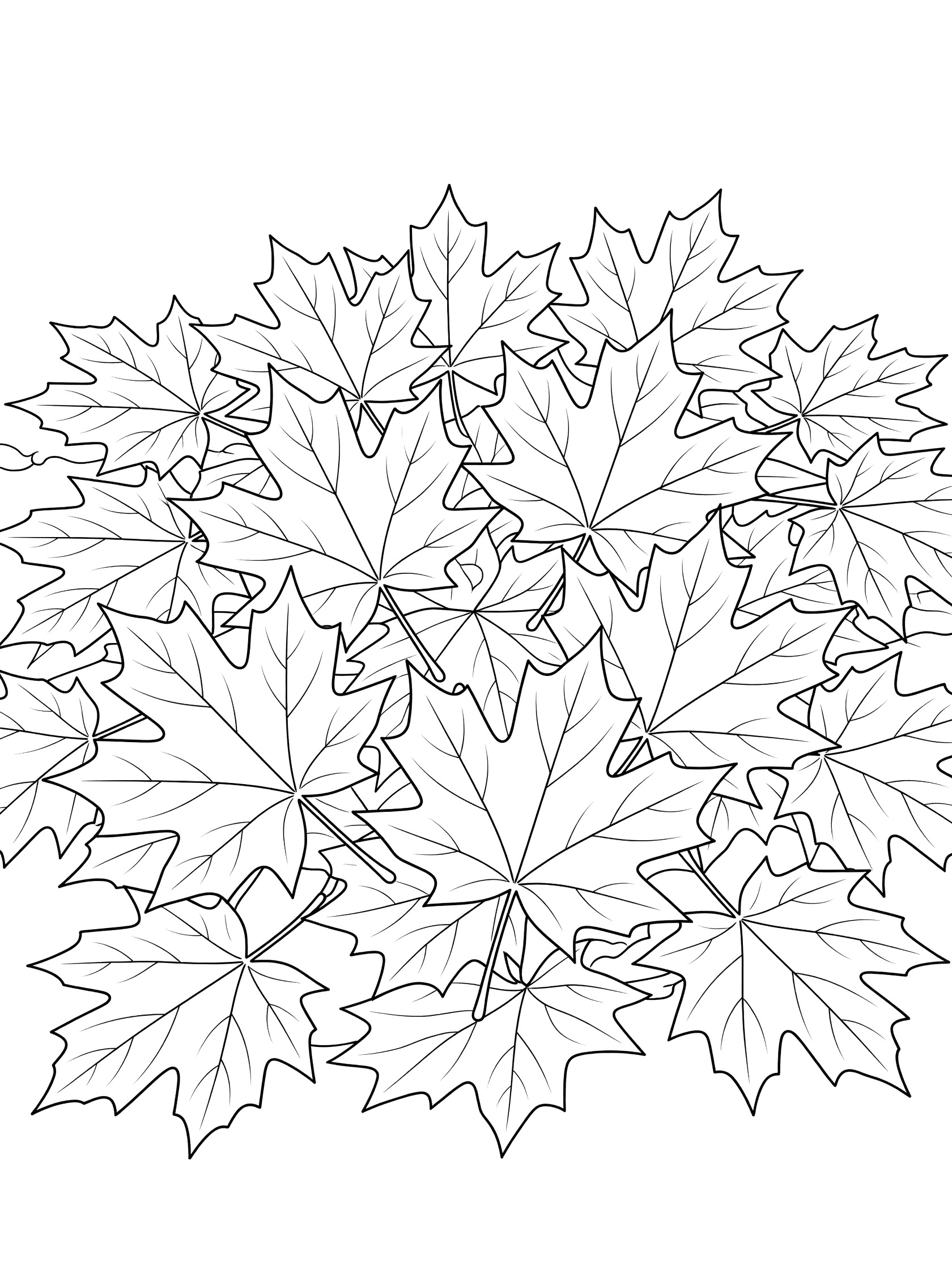 Black and white line drawing of a pile of overlapping maple leaves with pointed lobes and stems, ready for kids to color. Maple Leaf themed black and white printable line art