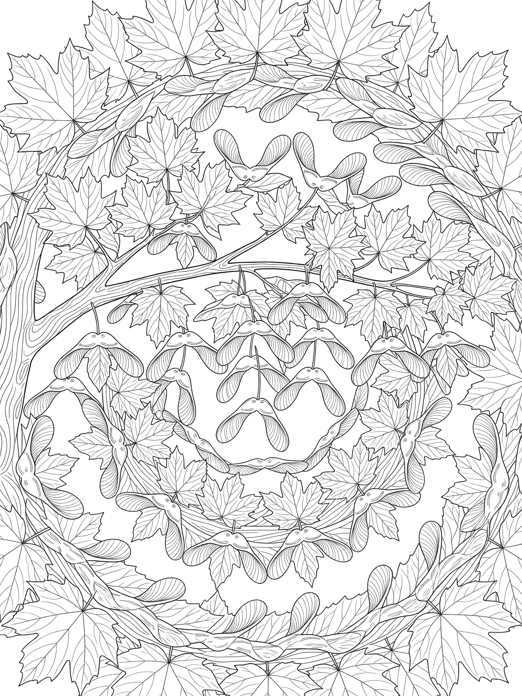 Black and white line art coloring page showing a symmetrical maple tree branch with leaves and samara seeds in a spiral mandala design