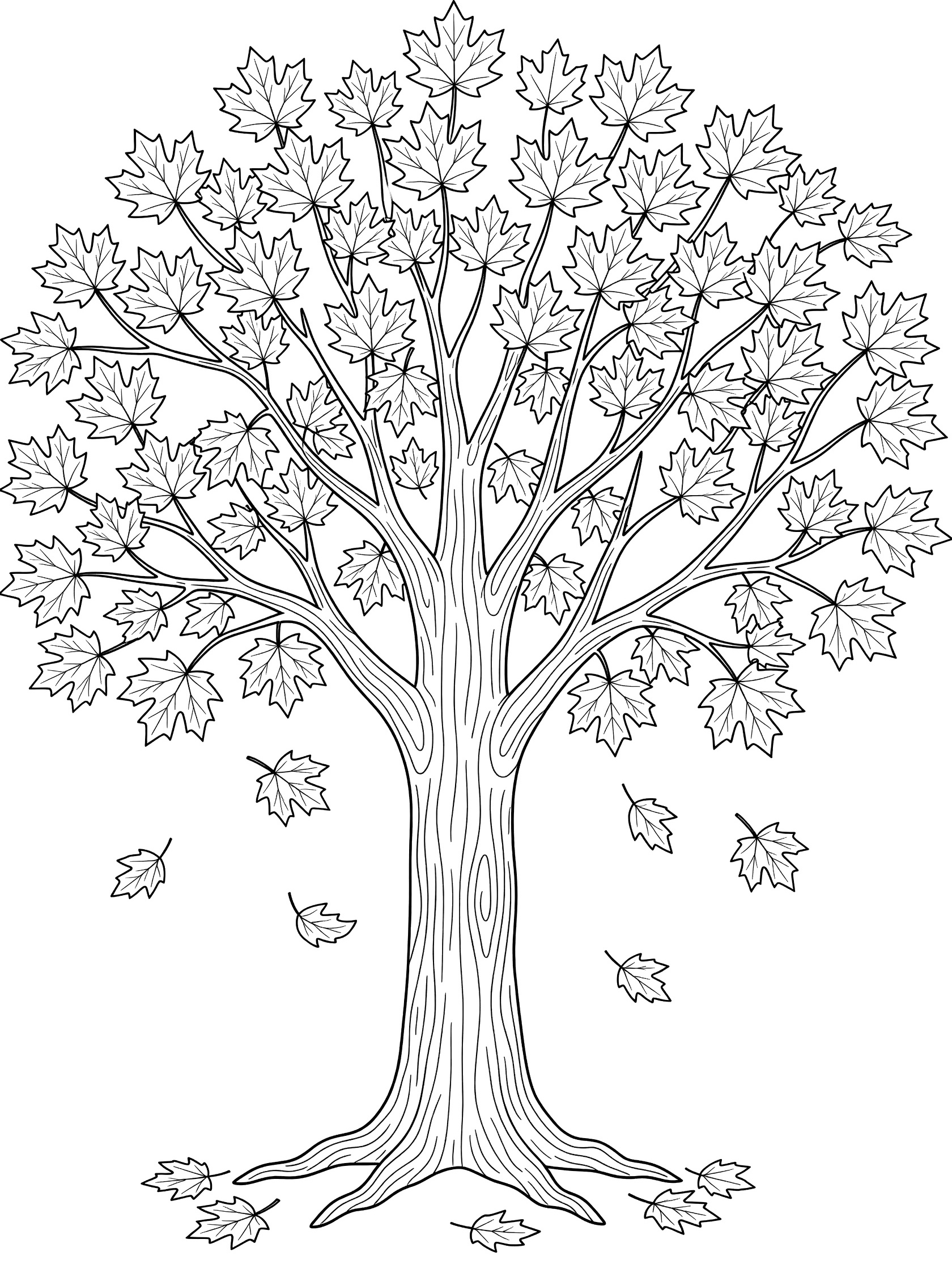 Black and white line art of a maple tree with detailed leaves on branches and several leaves falling down to the ground below the trunk. Maple Leaf themed black and white printable line art