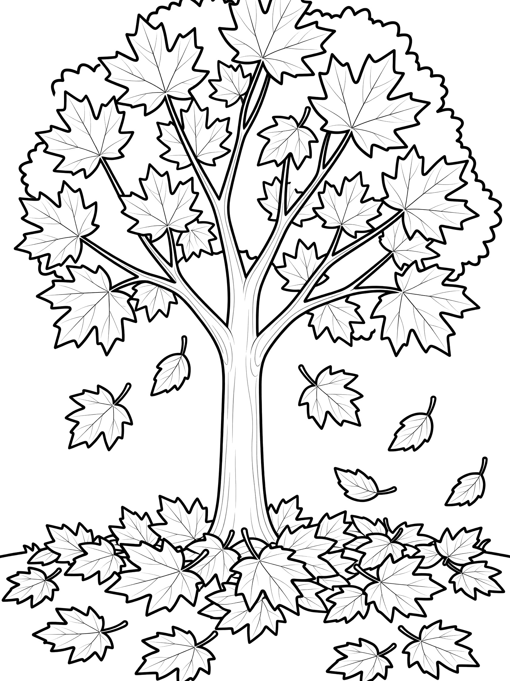 Black and white line art coloring page showing a tall maple tree with wide branches full of large leaves, some leaves falling down, and a pile of leaves on the ground below.
