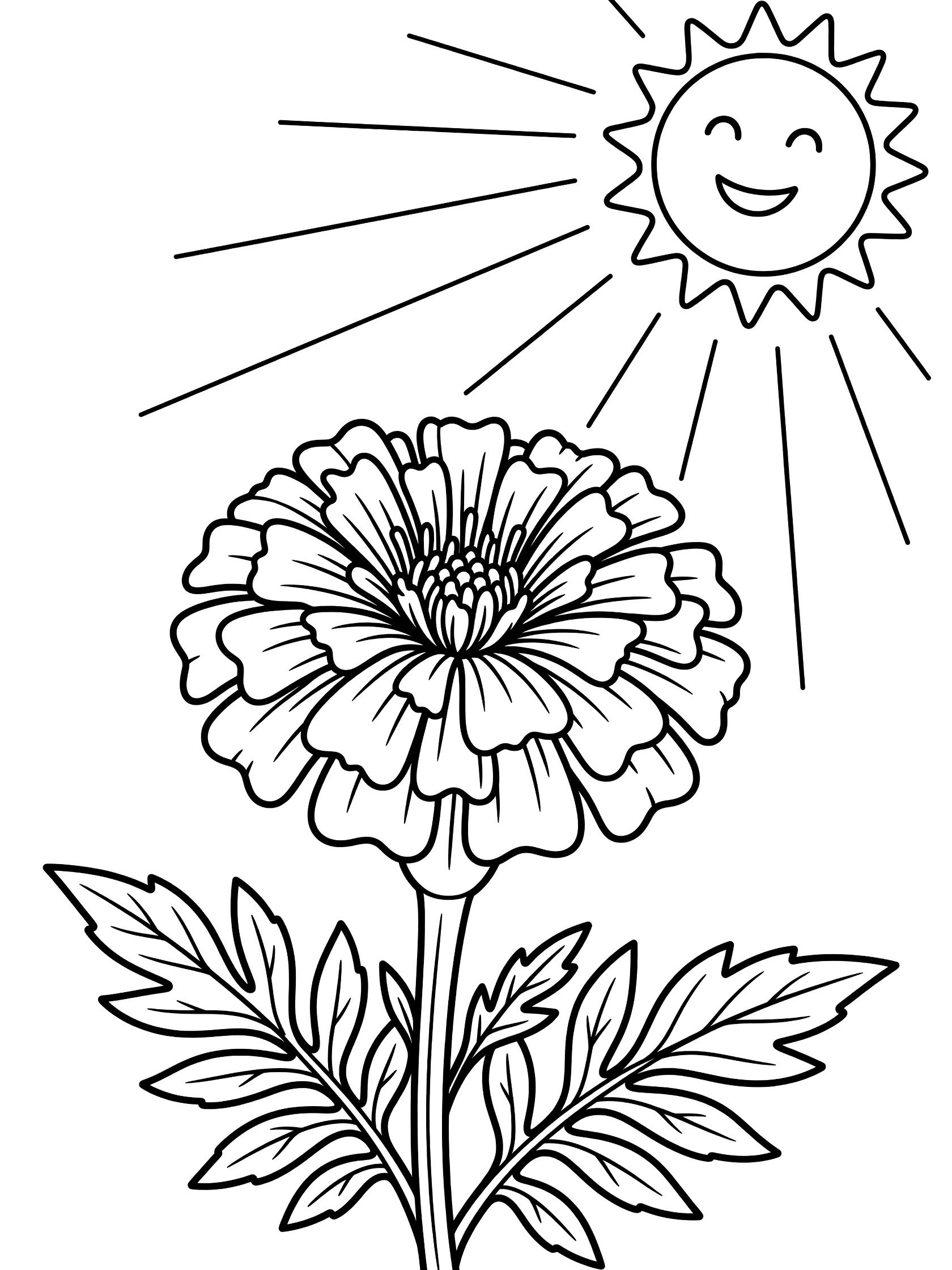 Black and white line art coloring page showing a detailed marigold flower on a stem with leaves next to a cartoon smiling sun with beaming rays.