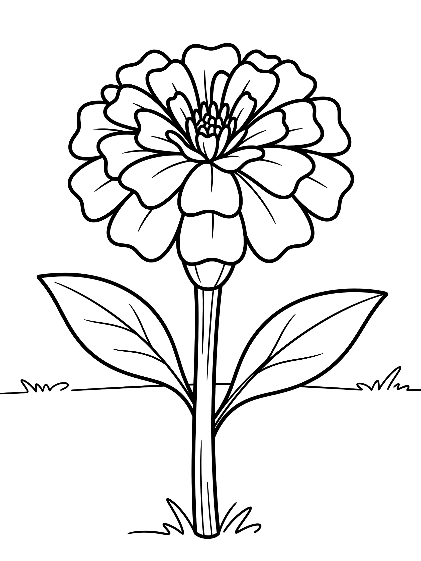 Black and white line art of a single marigold flower with ruffled petals, tall stem, broad leaves and grass tufts on white background