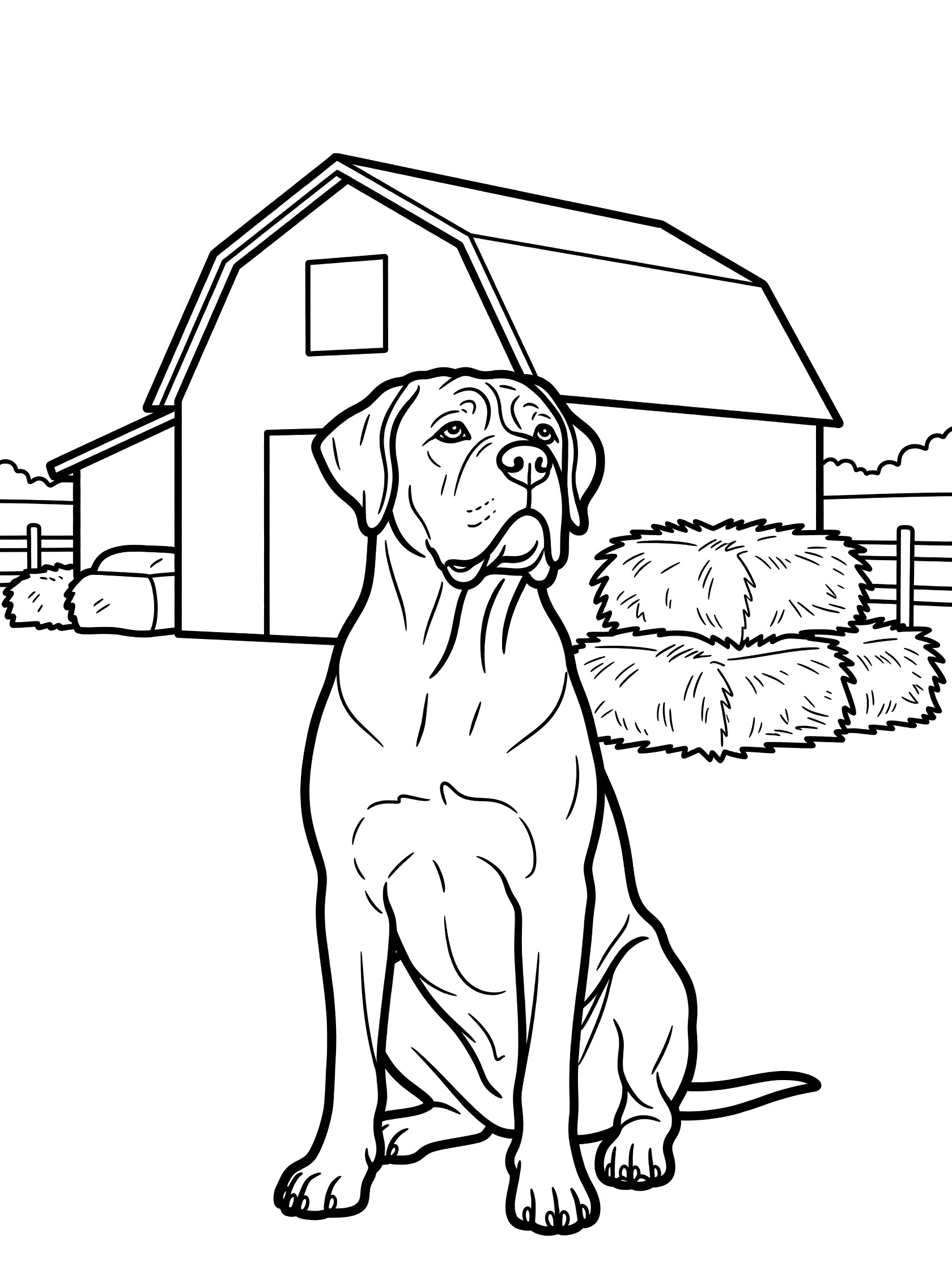 Line art coloring page showing a Mastiff dog with perked ears sitting in front of a barn, hay bales, and farm fence