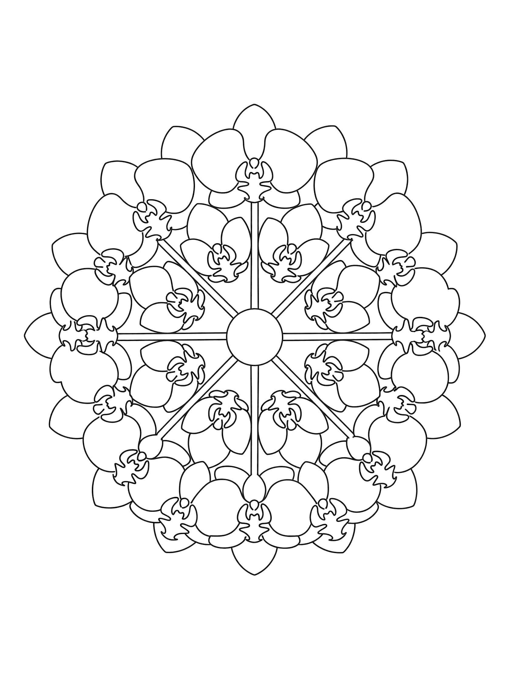 Minimalist Orchid Mandala line art coloring page with clean outlines of repeating flower petals and stems in a circular pattern.