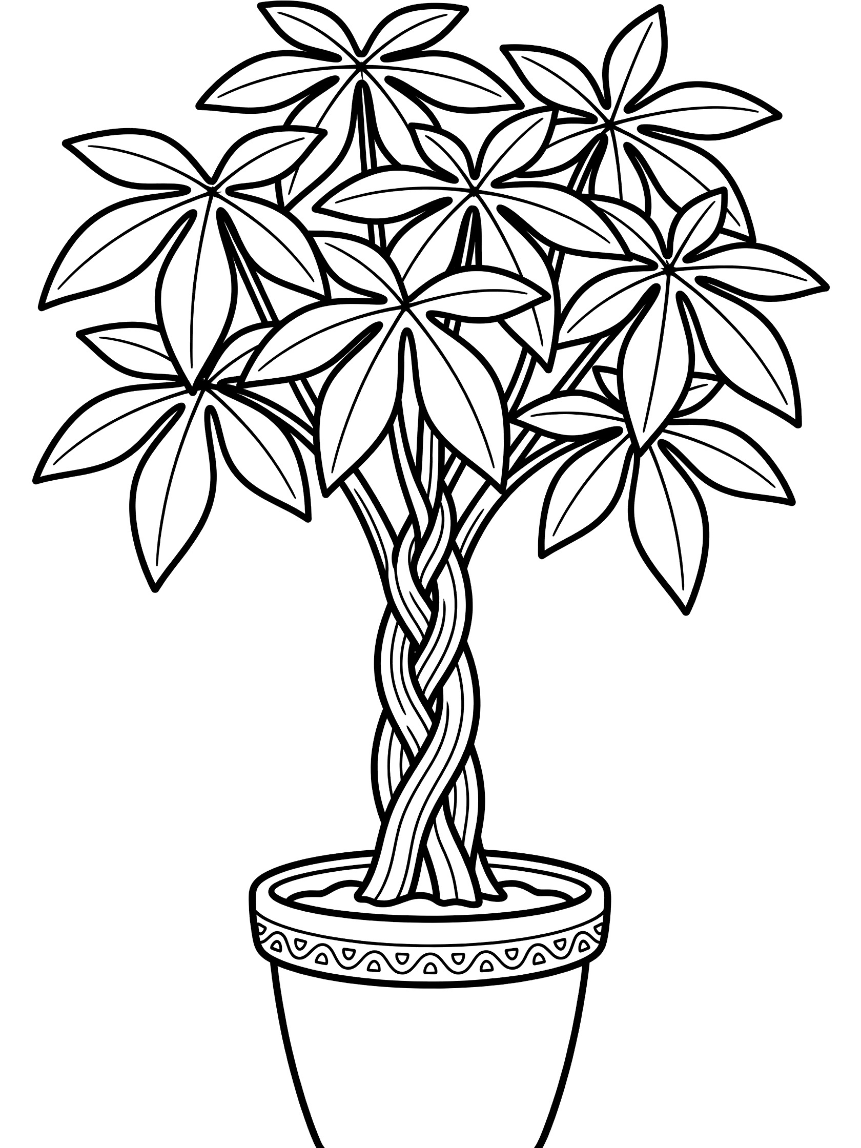 Black and white coloring page of a money tree plant with braided trunk, wide palm leaves, and decorative pot.