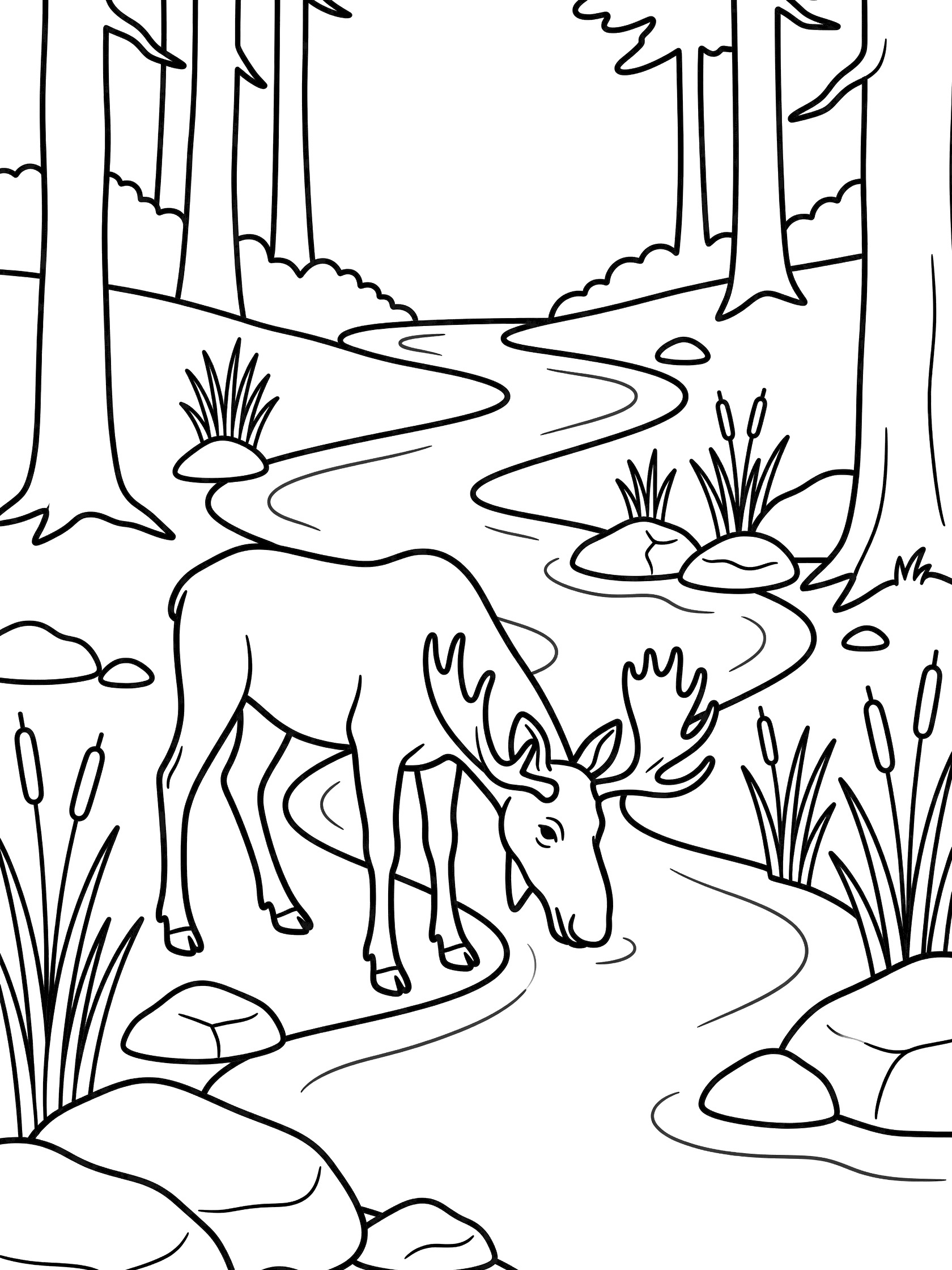Black and white line art coloring page showing a moose bending down to drink from a stream with rocks, reeds, and tall trees in a forest.