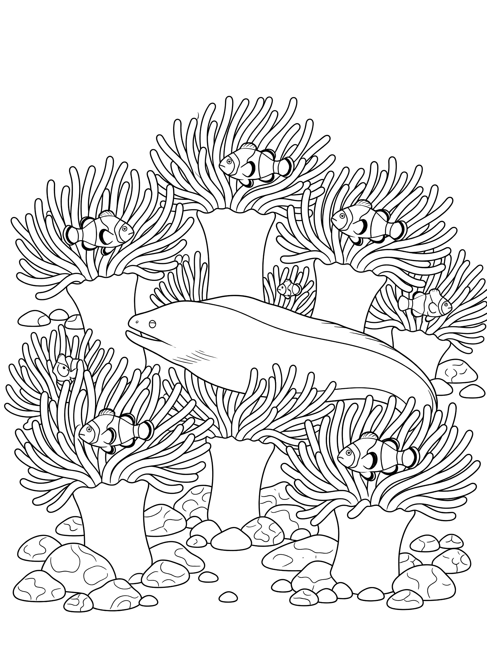 Black and white line art coloring page showing a long moray eel among tall sea anemones with wavy tentacles and small clownfish hiding inside on a rocky seafloor.