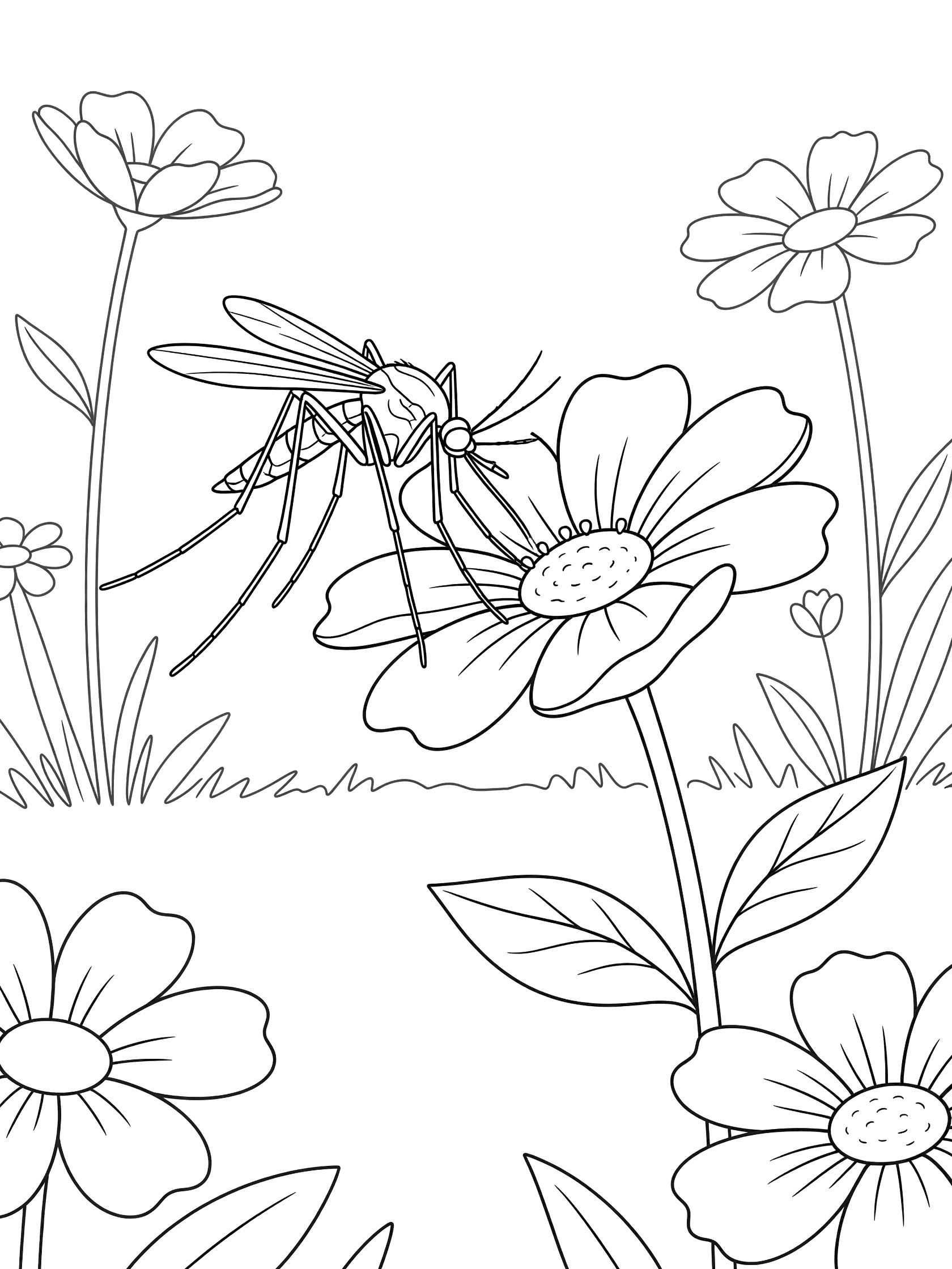Black and white line art coloring page showing a mosquito with long legs and wings touching a large flower, surrounded by smaller flowers and green stems on white background.