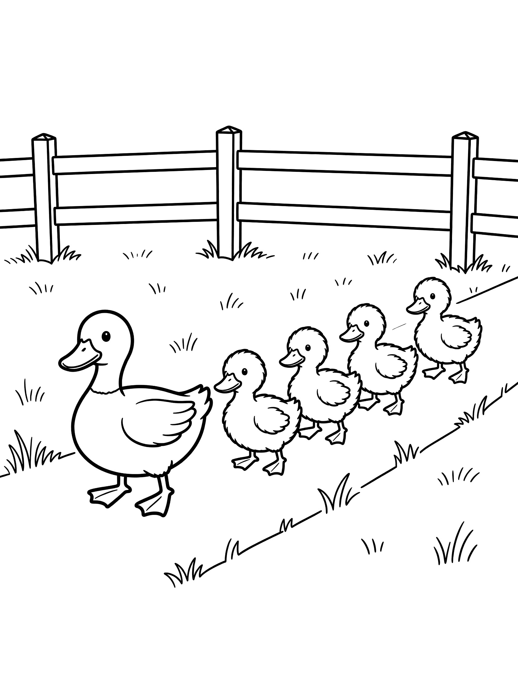 Line art coloring page showing mother duck leading line of five ducklings waddling on grass toward wooden fence. Ducks themed black and white printable line art