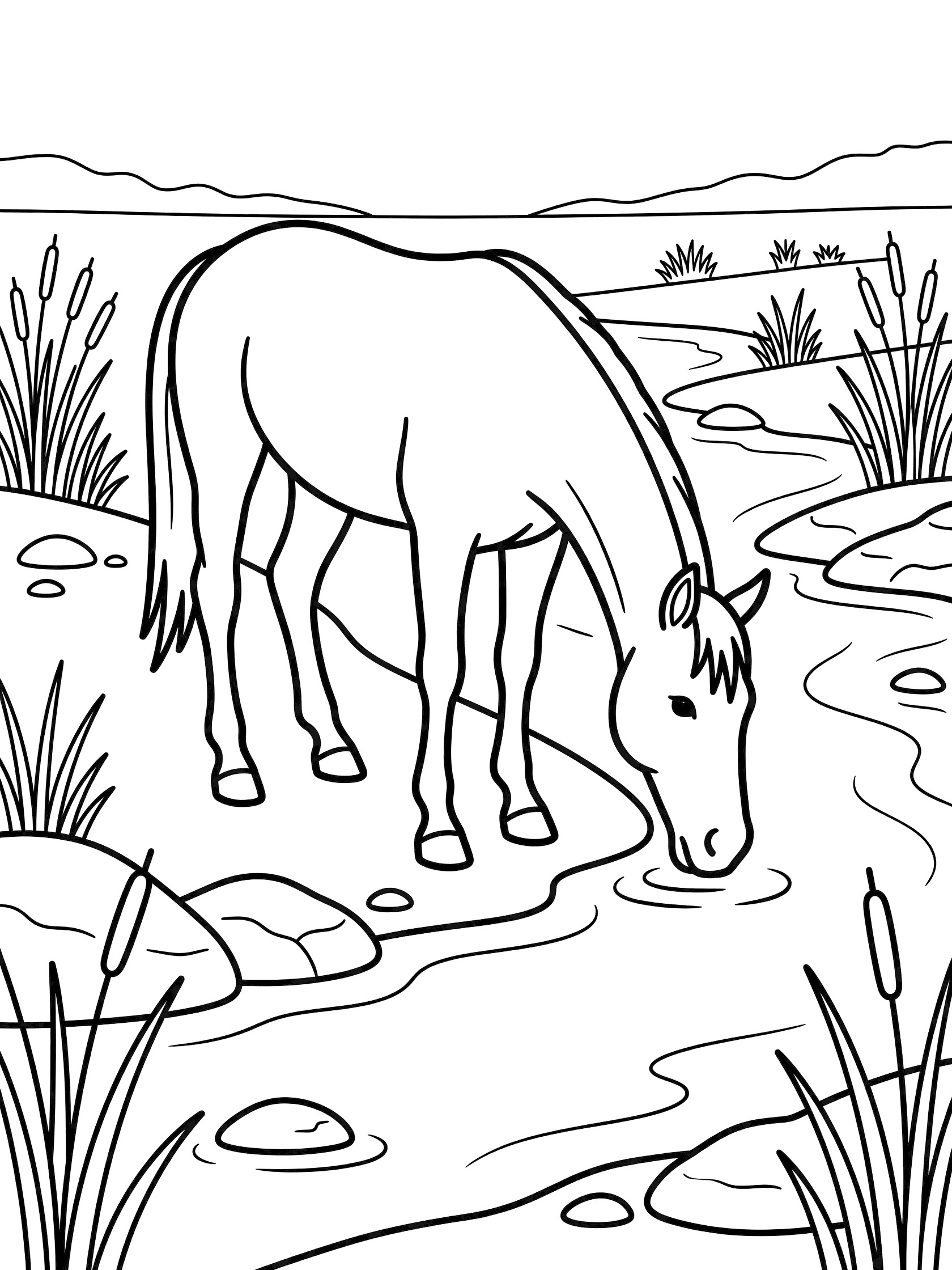 Printable coloring page showing a mustang horse with lowered head drinking from a winding river surrounded by rocks and tall reeds on the riverbank.