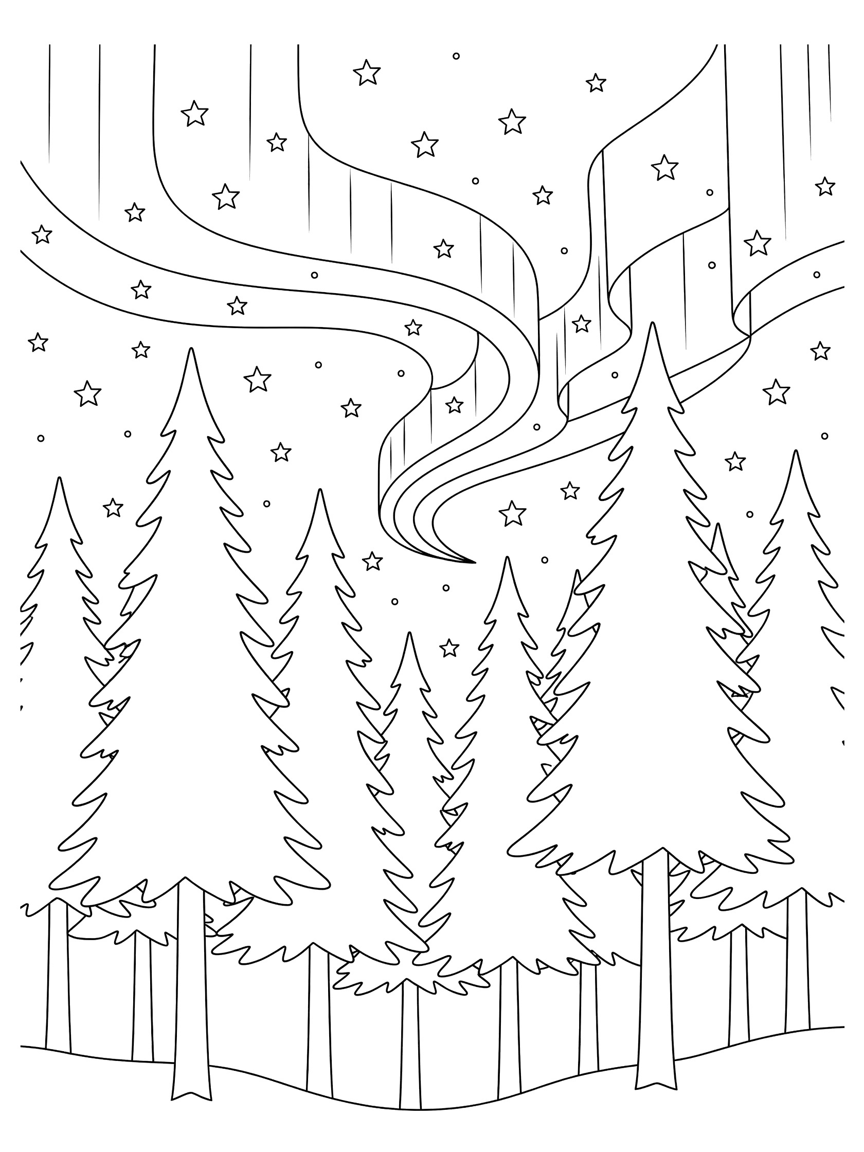 Black and white line art coloring page showing wavy northern lights ribbons, twinkling stars, and tall pine trees in a forest with white background.