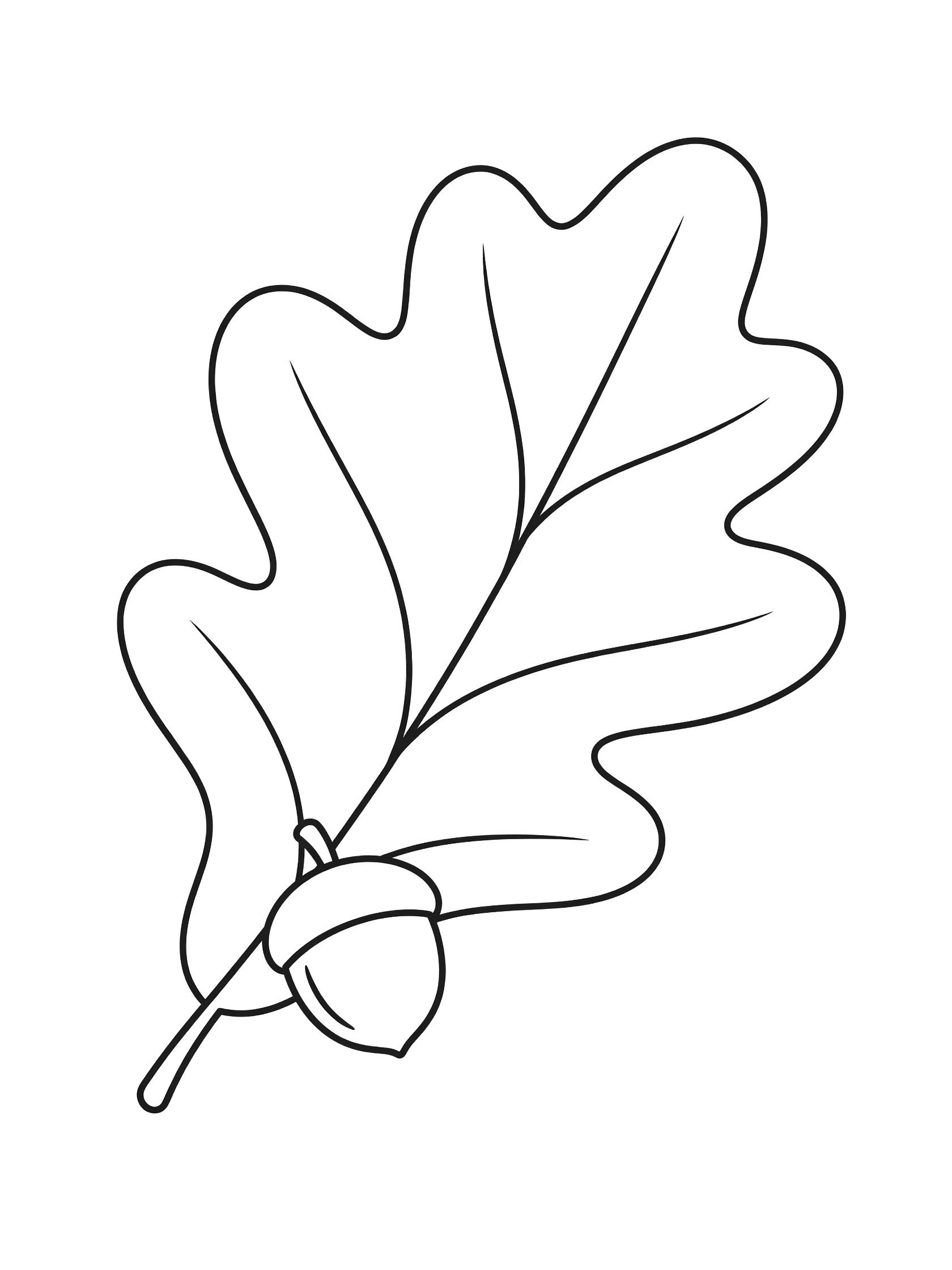 Black and white line drawing of a detailed oak leaf curving around a small acorn, printable coloring page