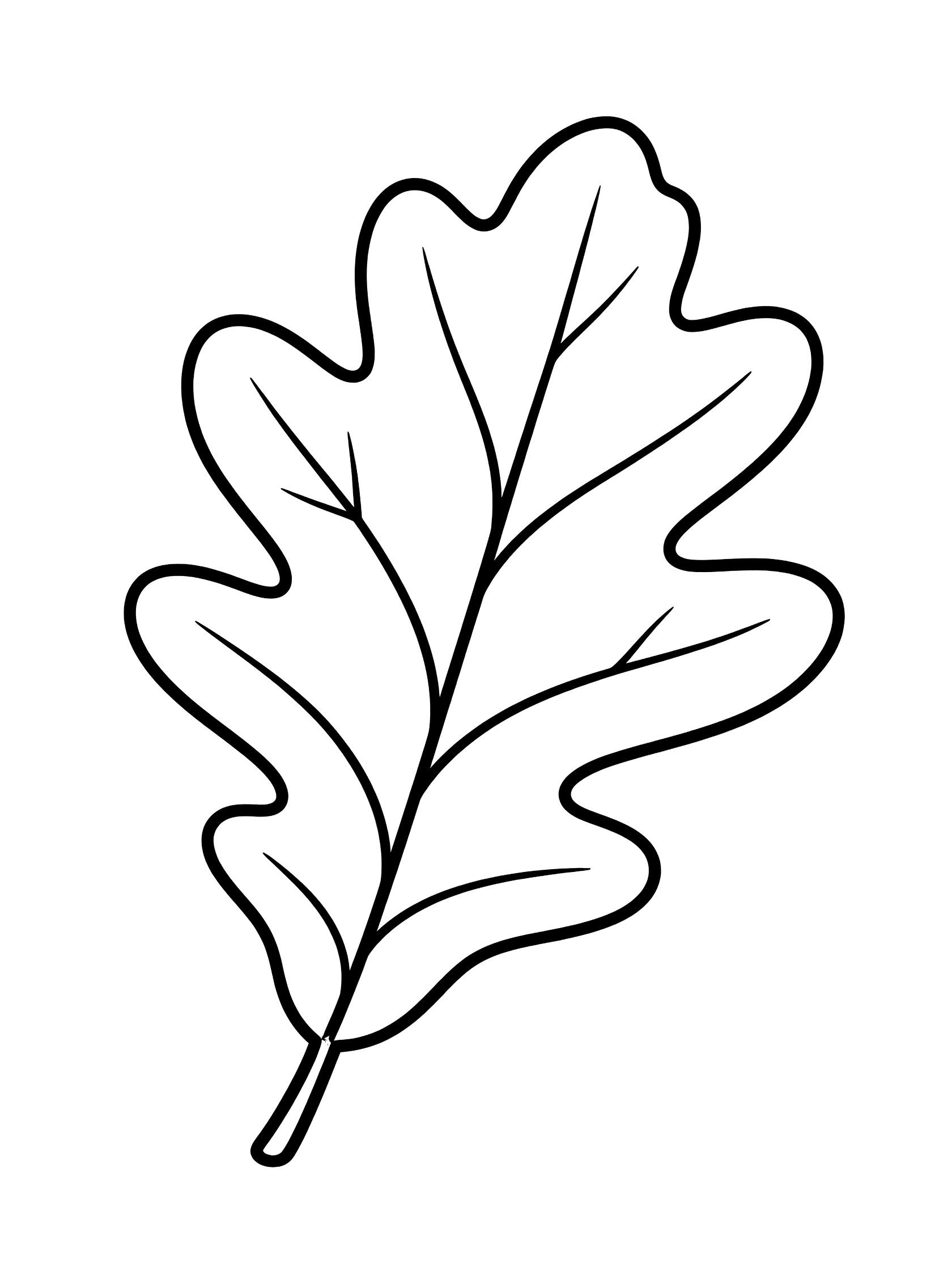 Black and white line drawing of a single large oak leaf with rounded lobes and central stem, coloring book style on white background