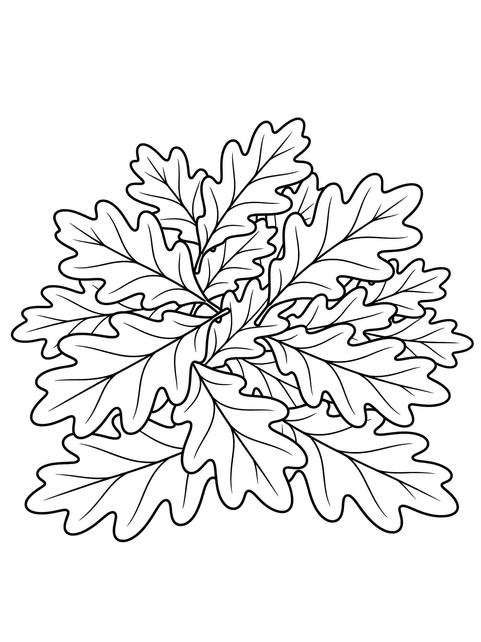 Black and white line drawing of a pile of layered oak leaves with detailed veins and lobed edges, ready for coloring. Oak Leaf themed black and white printable line art