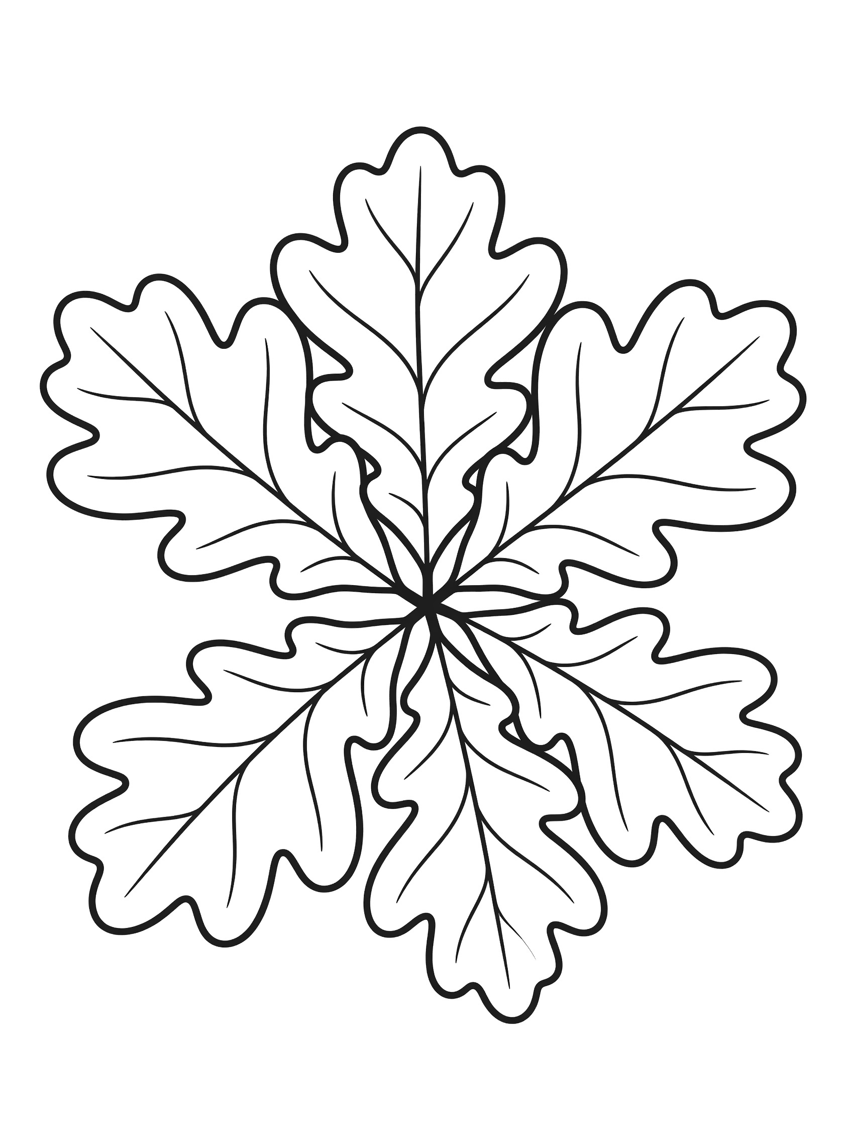 Black and white coloring page of five oak leaves arranged in a symmetric bunch with detailed lobes and smooth outlines. Oak Leaf themed black and white printable line art