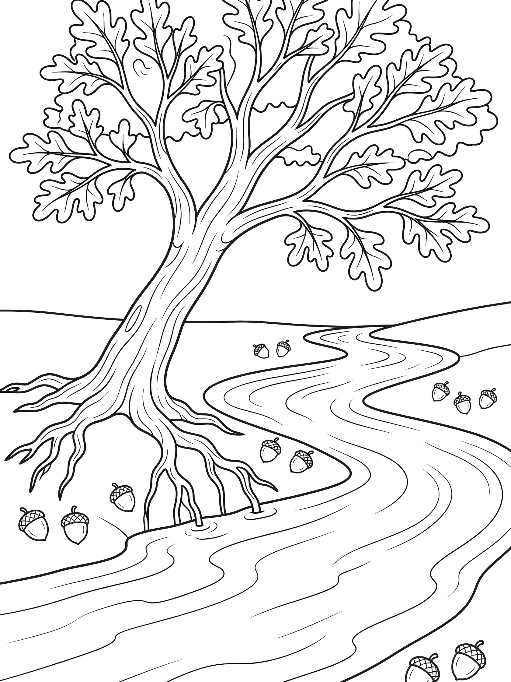 Printable coloring page showing a large oak tree leaning over a curving river with exposed roots in the water, scattered acorns, and simple hills.