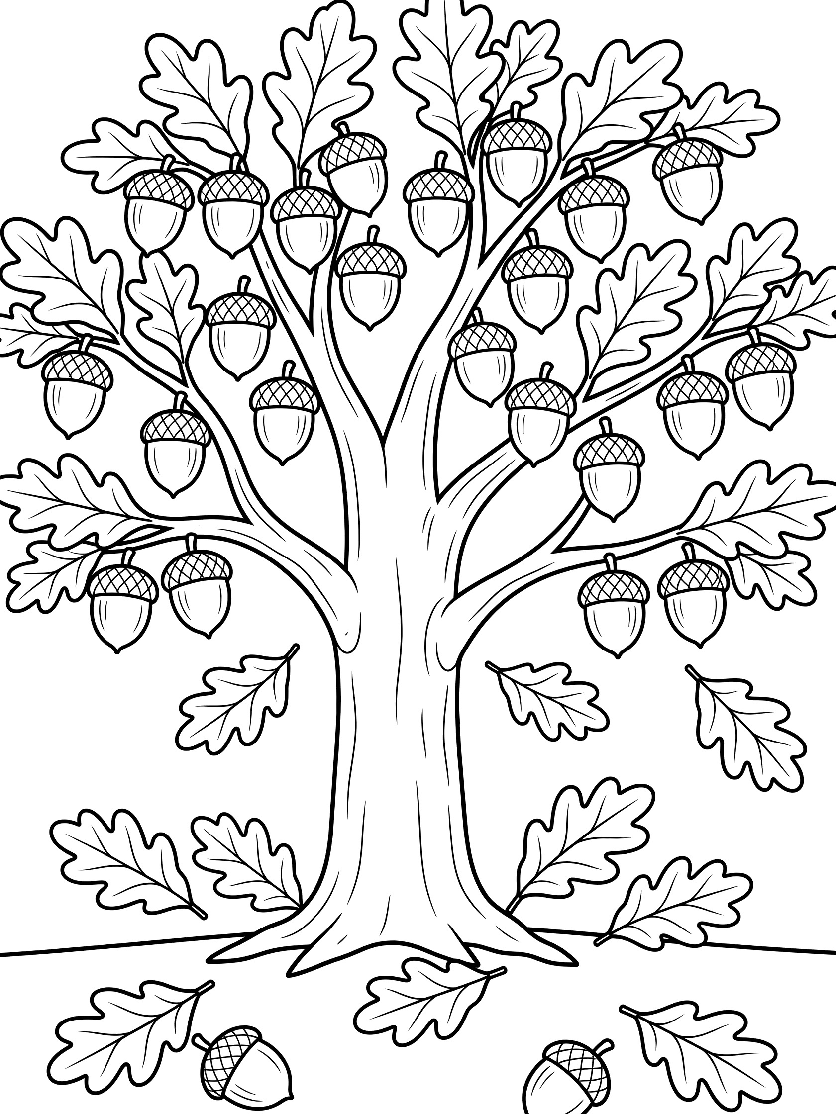 Black and white line drawing of an oak tree with clusters of acorns hanging from branches, oak leaves on tree and falling to ground, a few acorns below trunk