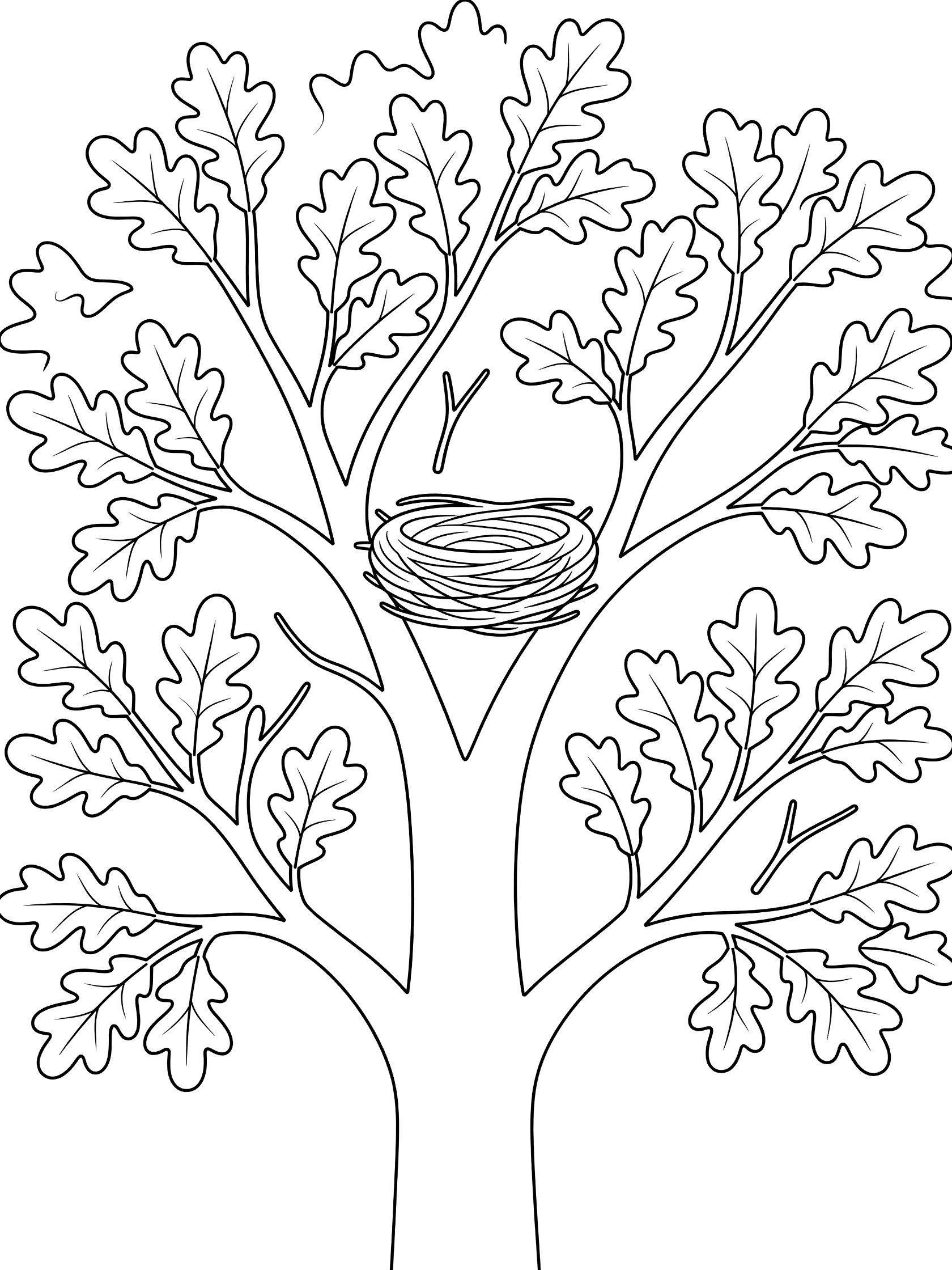 Black and white line art coloring page showing a tall oak tree with many leaves and a bird nest tucked in the branches.