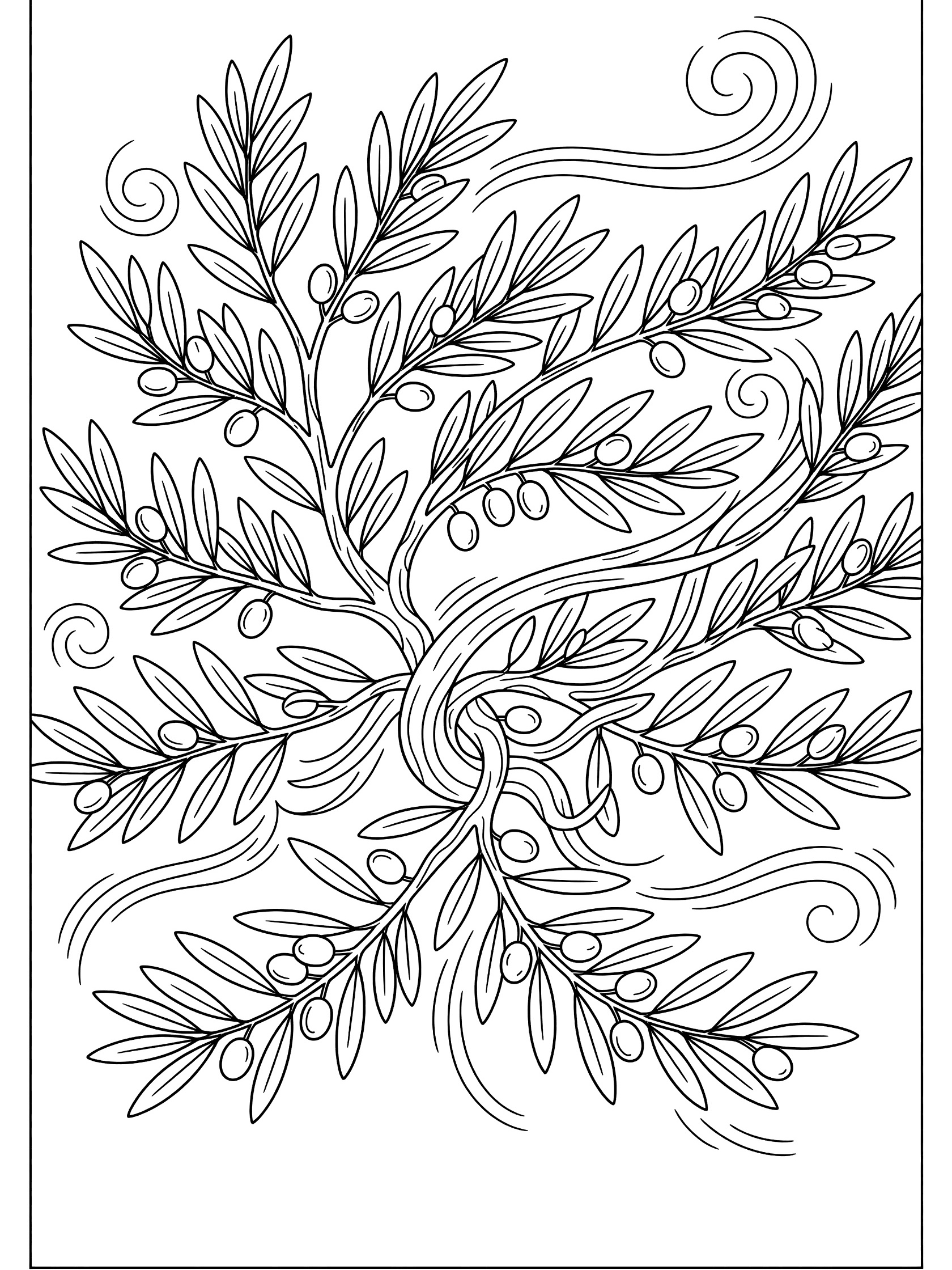 Black and white line art coloring page showing an olive tree with curved trunk, twisting branches full of leaves and olives, and swirling wind lines around it.