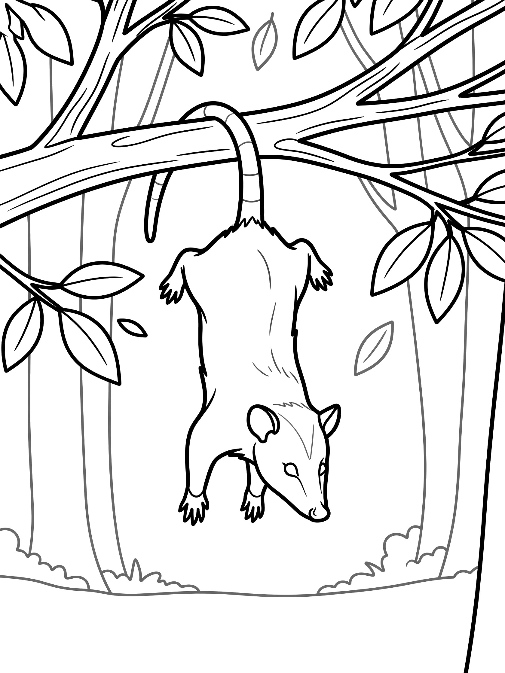 Black and white line art coloring page showing an opossum hanging upside down from a tree branch by its tail, surrounded by simple leaves and forest twigs.