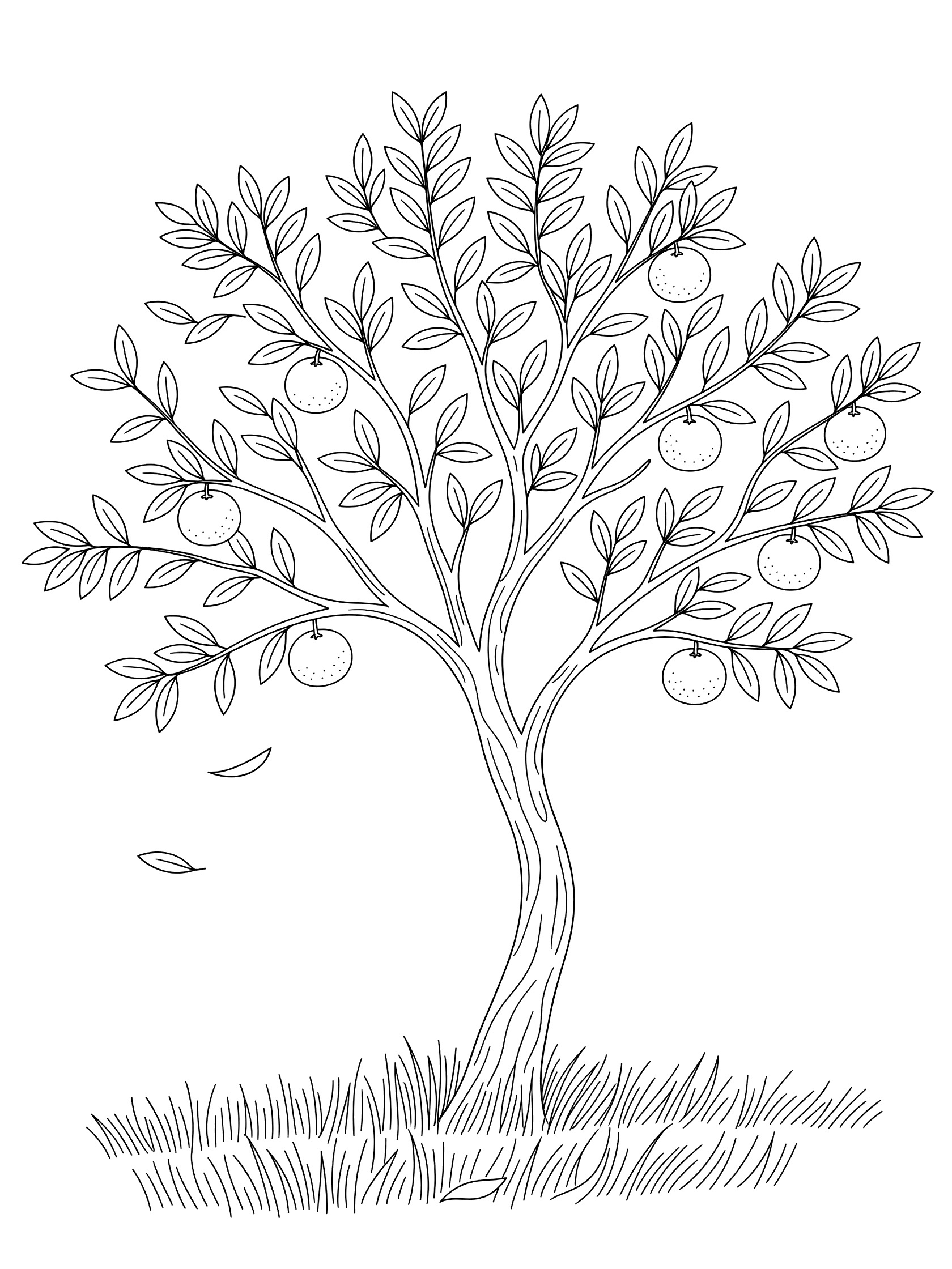 Black and white line art of an orange tree with twisting trunk, green leaves, round oranges, one falling leaf, and wavy grass at the base.