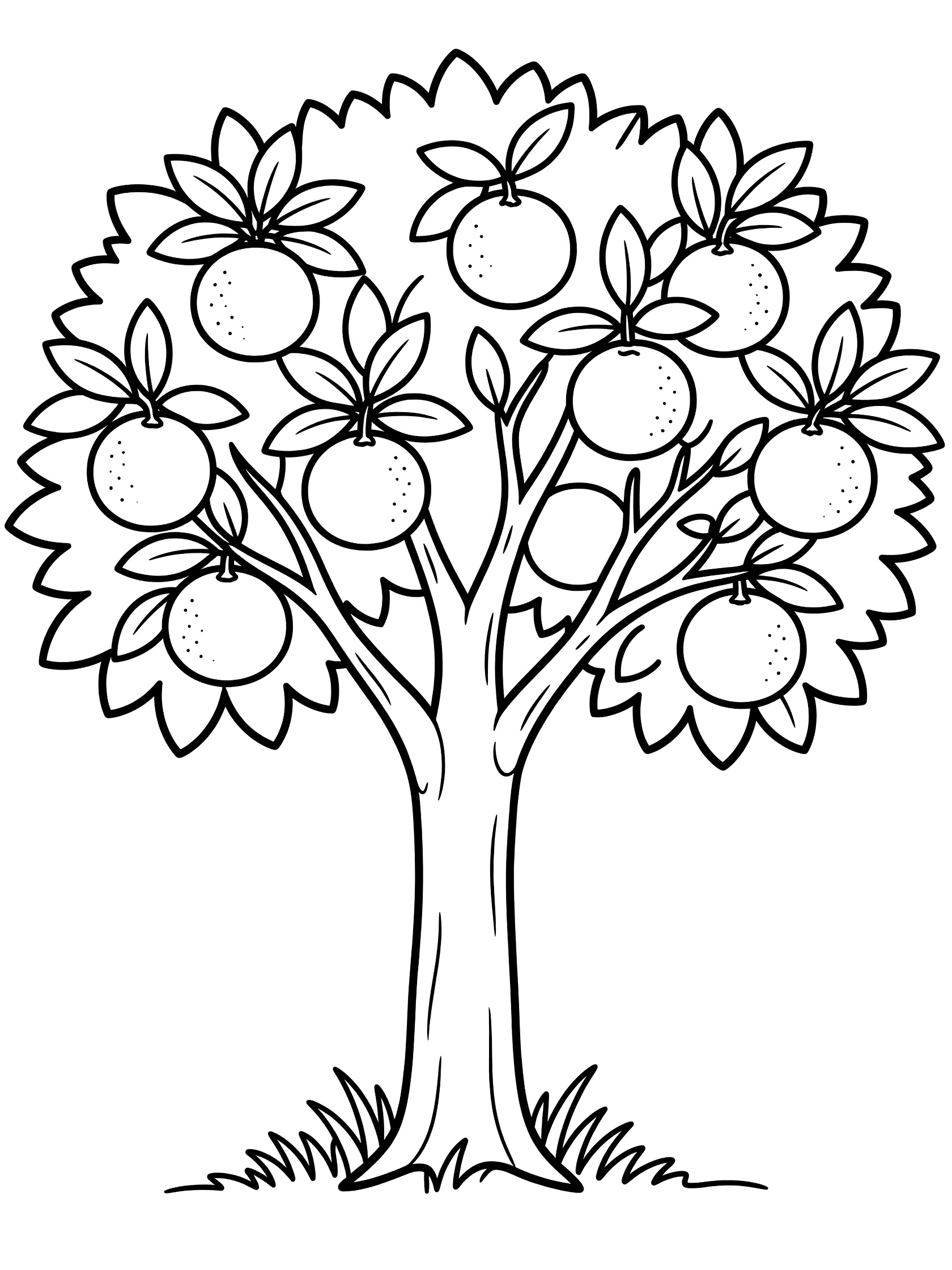 Black and white line drawing of an orange tree with many round oranges hanging from branches with leaves and grass at the base.