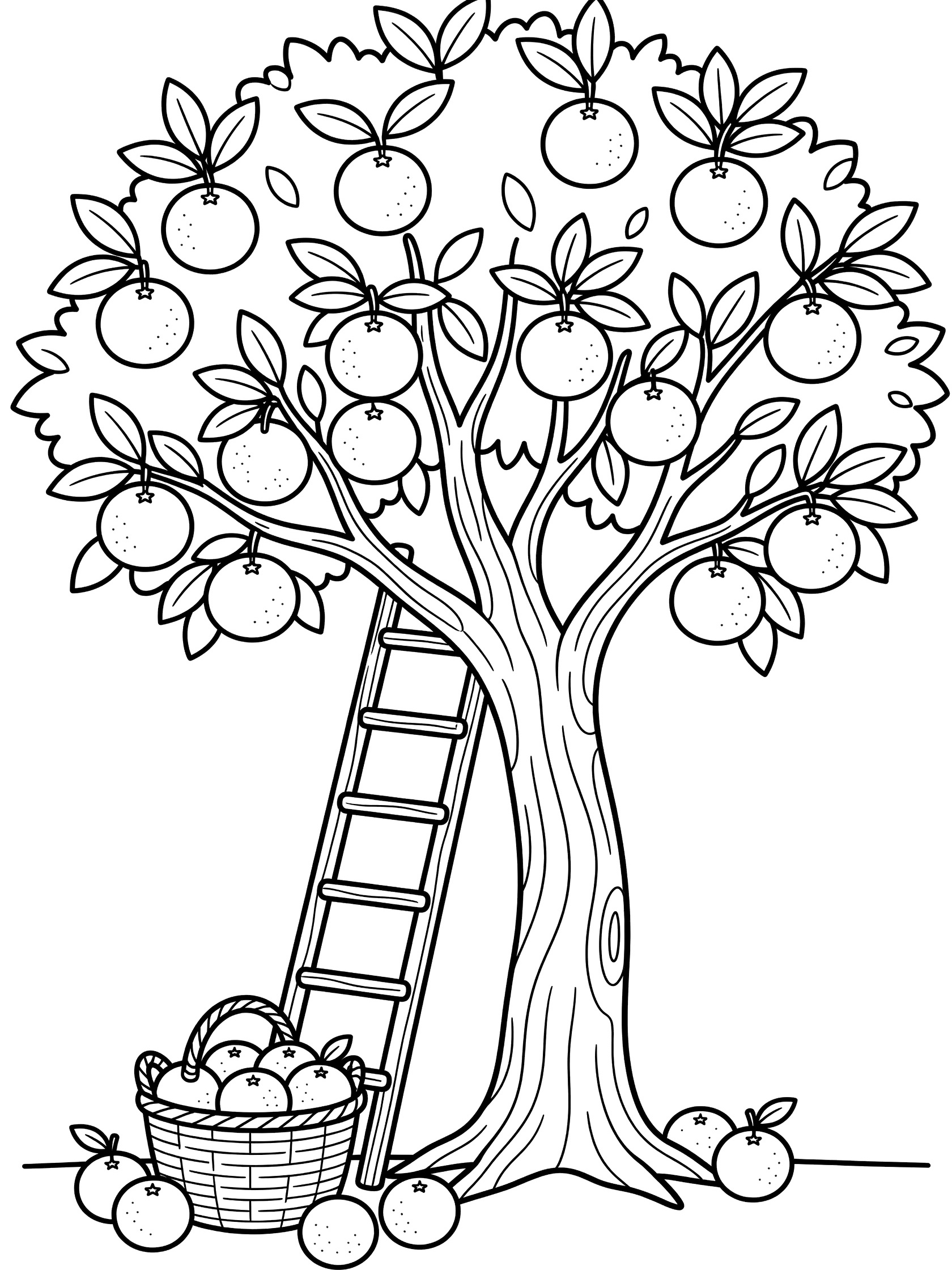 Black and white line art coloring page showing an orange tree with many oranges on branches and leaves, a tall ladder leaning on the trunk, and a basket filled with oranges on the ground.