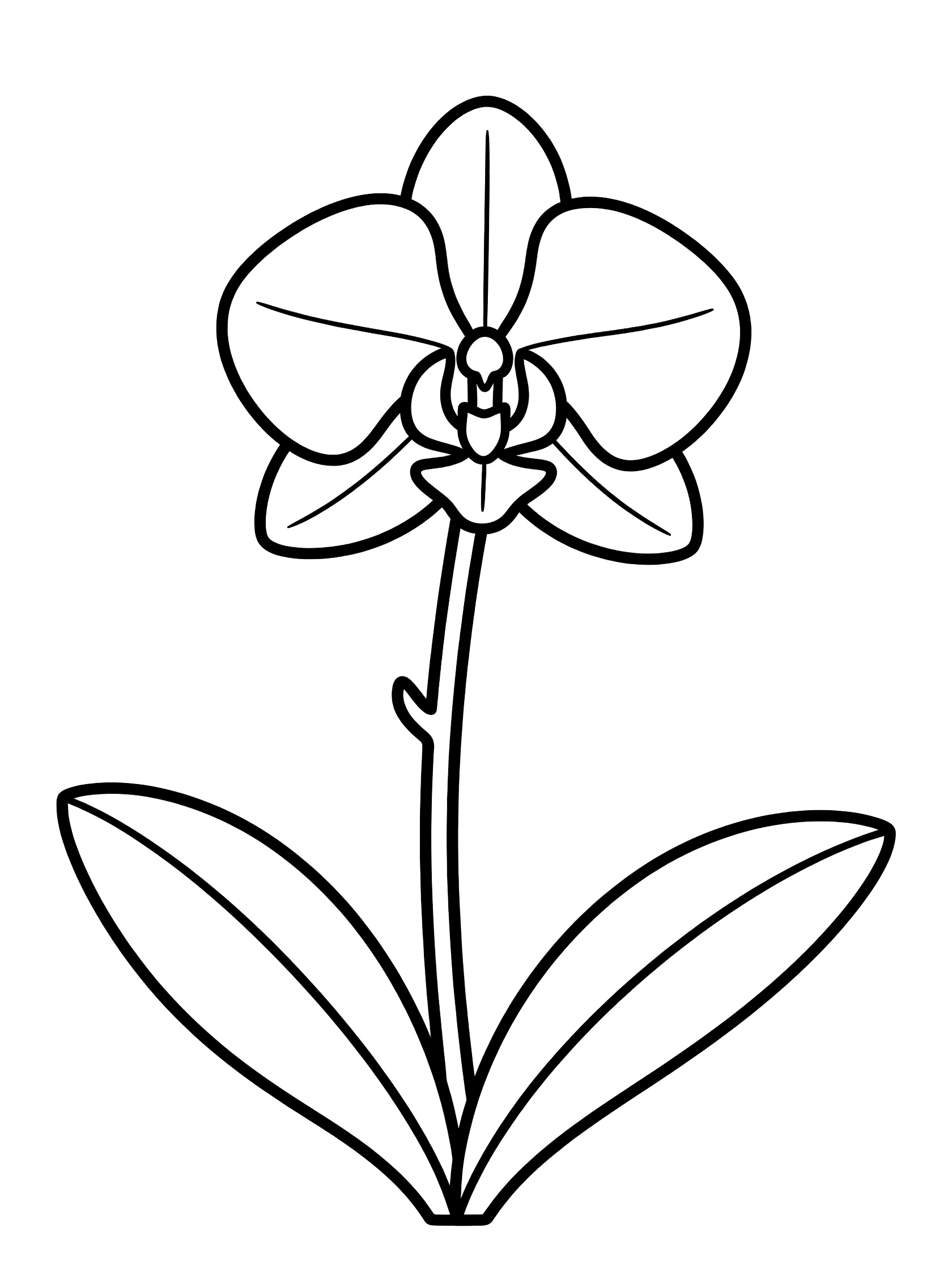 Black and white line art of a single orchid flower on a tall stem with two broad leaves at the base, coloring book style.