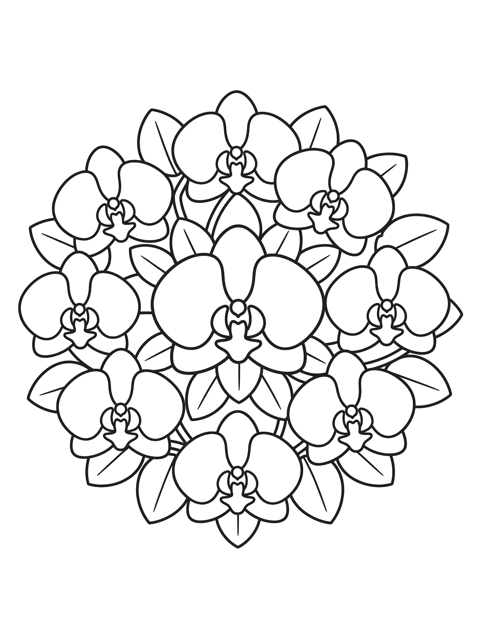 Black and white line art of a circular mandala with chubby orchid flowers arranged around a center bloom and rounded leaves connecting them. Orchid Mandala themed black and white printable line art