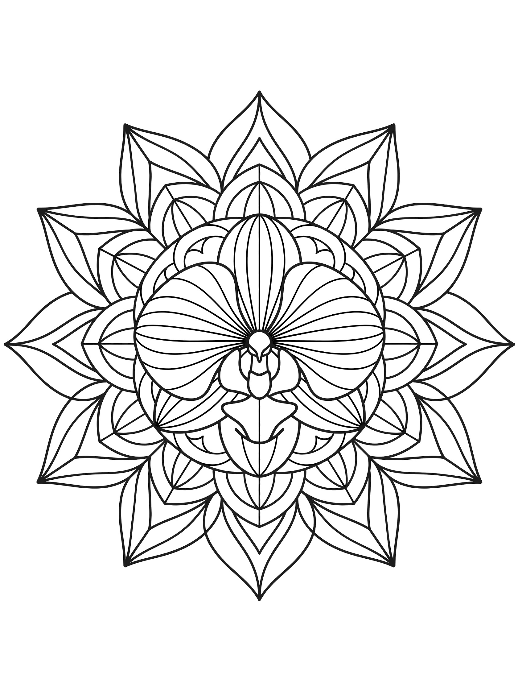 Black and white line art of a symmetrical orchid mandala with rounded petals and wavy leaves, centered on a pure white background for coloring.