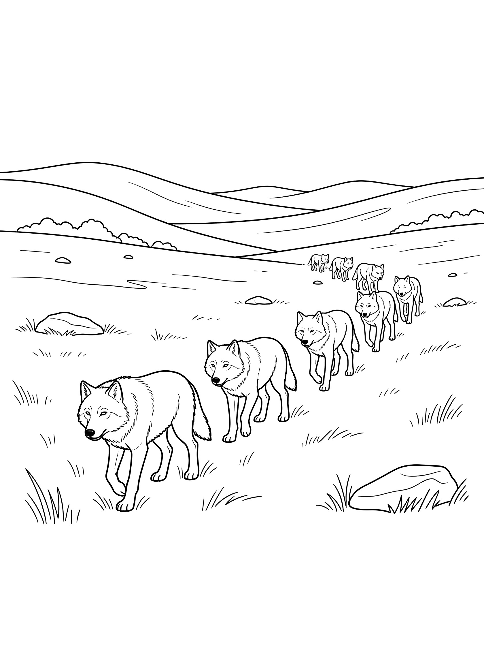 Black and white line art coloring page of a pack of wolves walking single file through grassy hills with rocks and distant hills. Wolf themed black and white printable line art