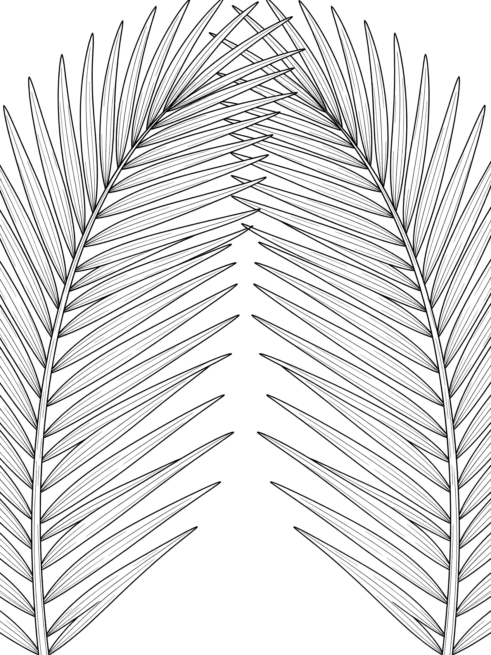 Black and white line drawing of two symmetrical palm fronds arching together to form a natural gateway shape