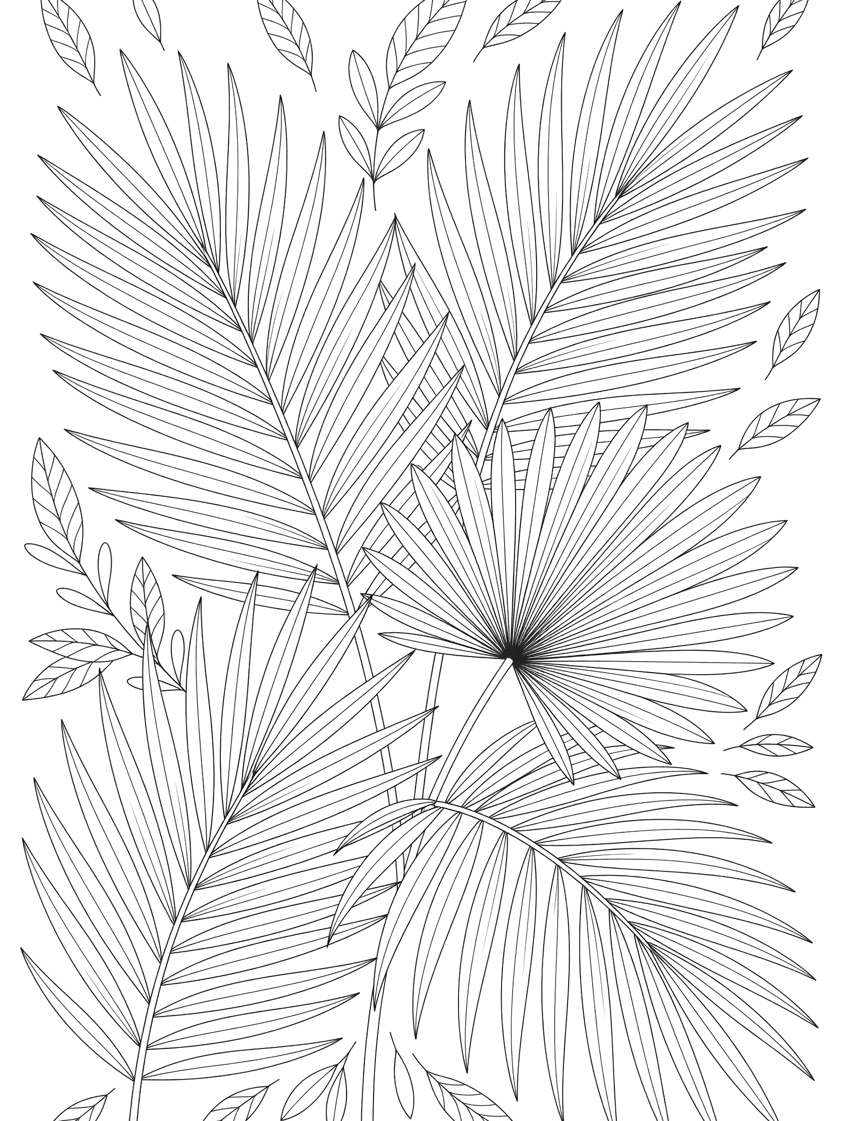 Black and white line art coloring page of overlapping palm fronds and leaves with vein details on white background. Palm Tree themed black and white printable line art