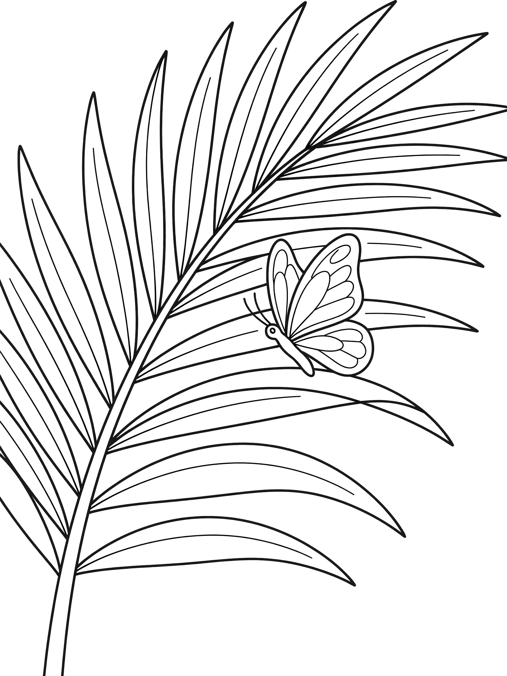 Black and white line art coloring page showing a large palm leaf with long narrow leaflets and a butterfly sitting on one leaflet. Palm Frond themed black and white printable line art