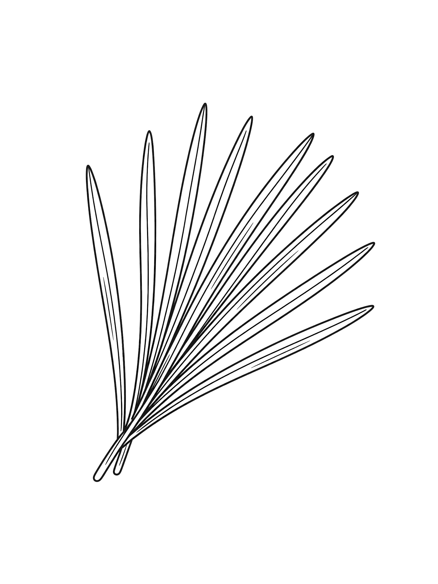 Black and white line art of a palm leaf with eight long narrow leaves spreading out from the base, curved tips, subtle veins, coloring book style on white background. Pine Needle themed black and white printable line art
