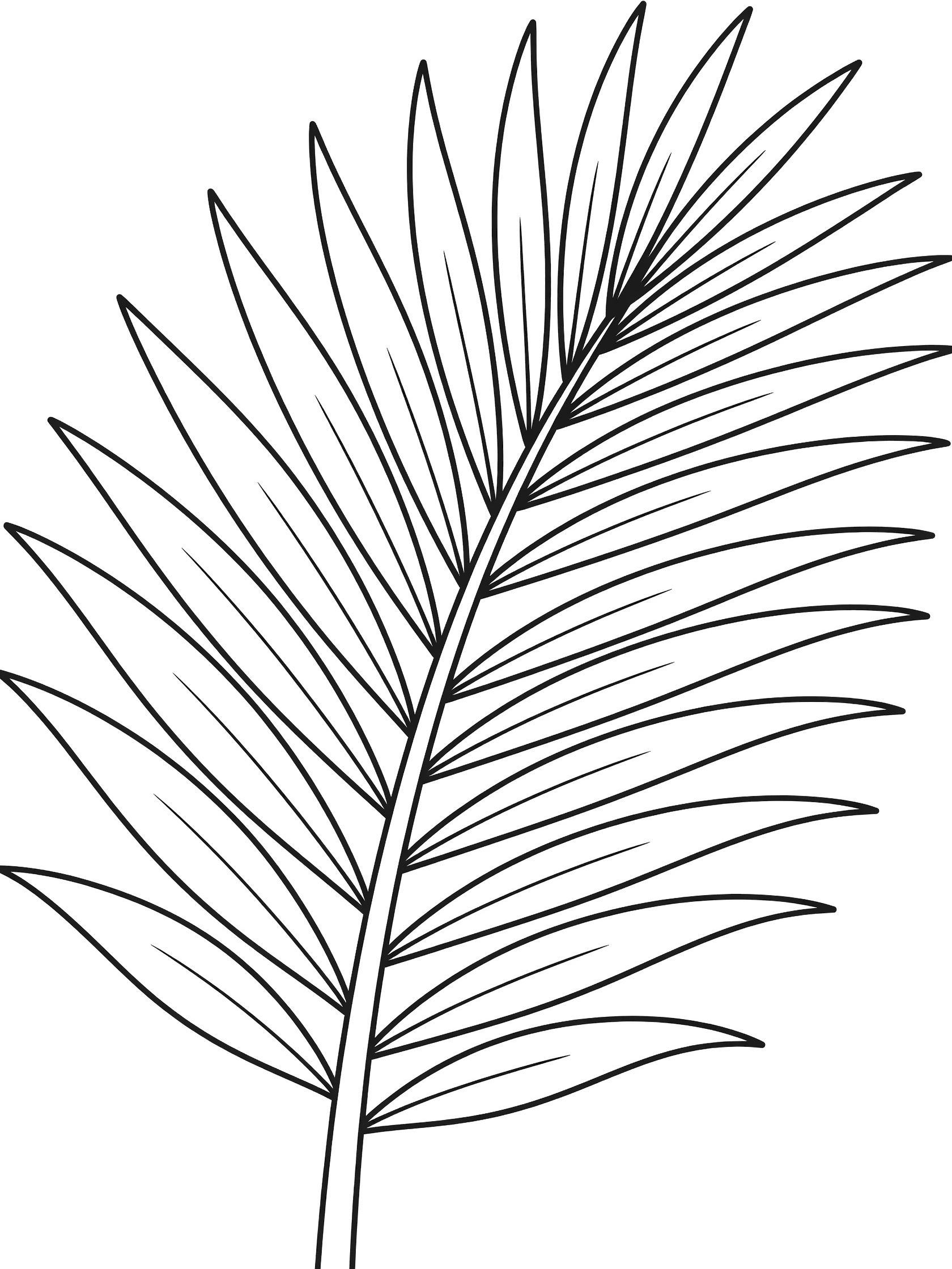 Black and white line drawing of a single large palm leaf with long stem and fanned out broad leaves on white background. Palm Frond themed black and white printable line art