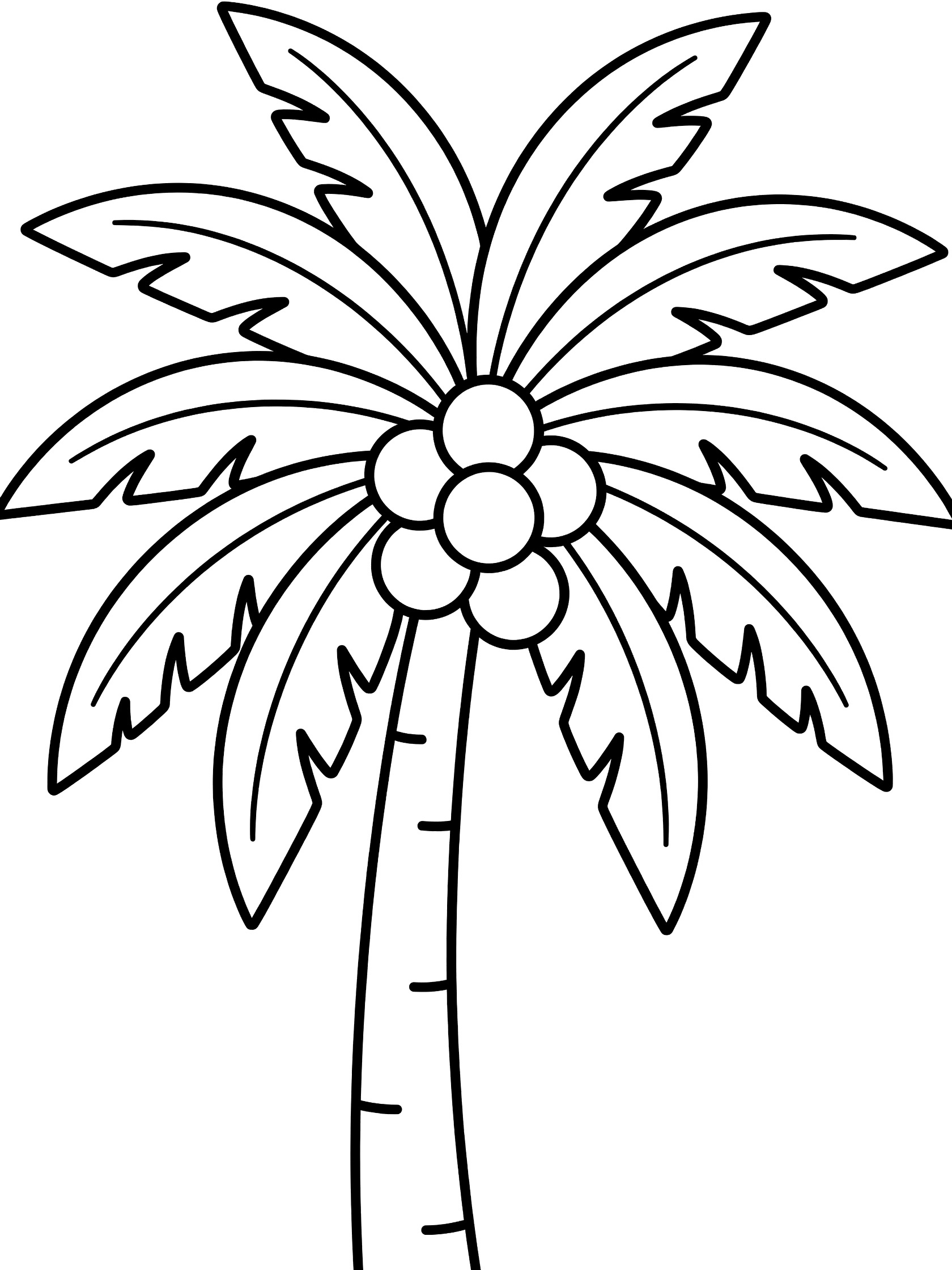 Black and white printable coloring page showing a tall palm tree with a sturdy trunk, fan-like leaves at the top, and clusters of round coconuts.