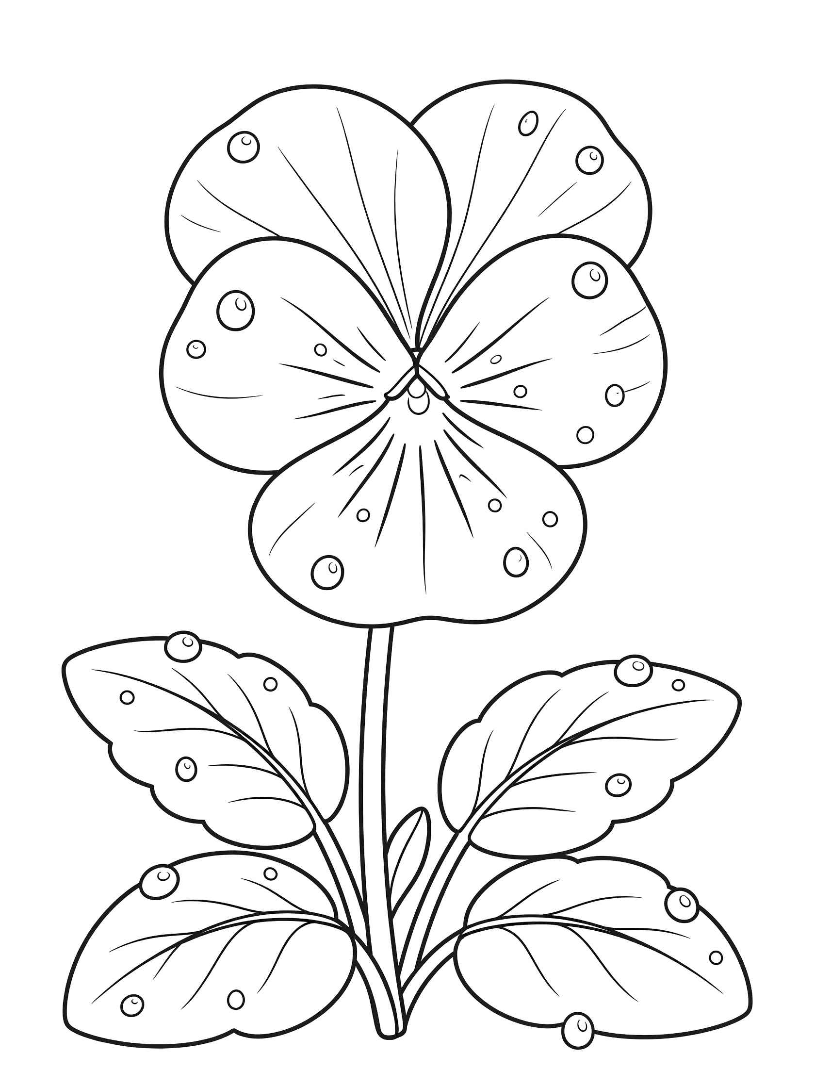 Black and white coloring page of a pansy flower with dew drops on velvety petals, stem and broad leaves
