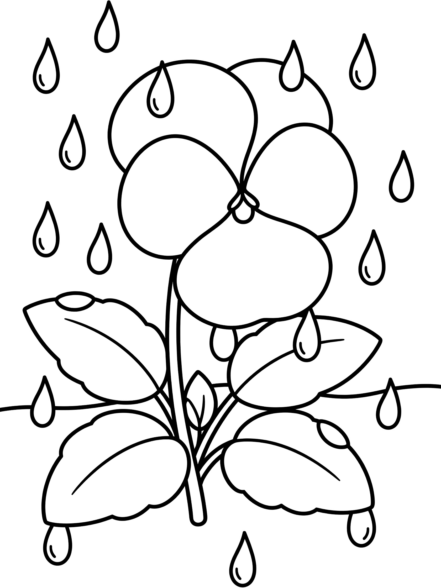 Black and white line art of a pansy flower with large petals, stem, leaves, and raindrops on a white background