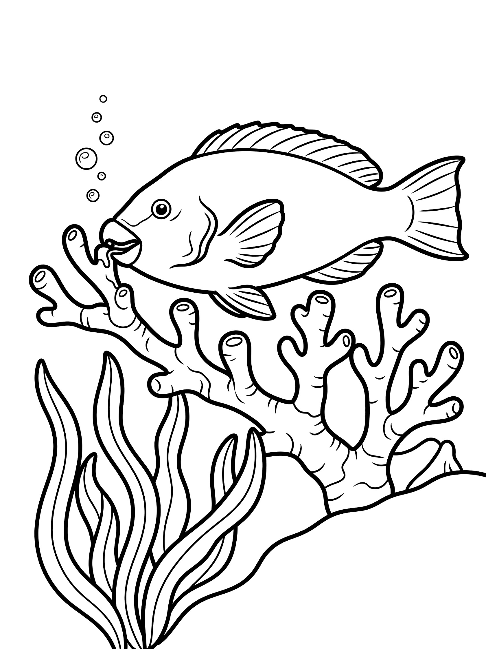 Black and white line art coloring page showing a parrotfish with beak touching coral branch, seaweed below, and bubbles nearby.