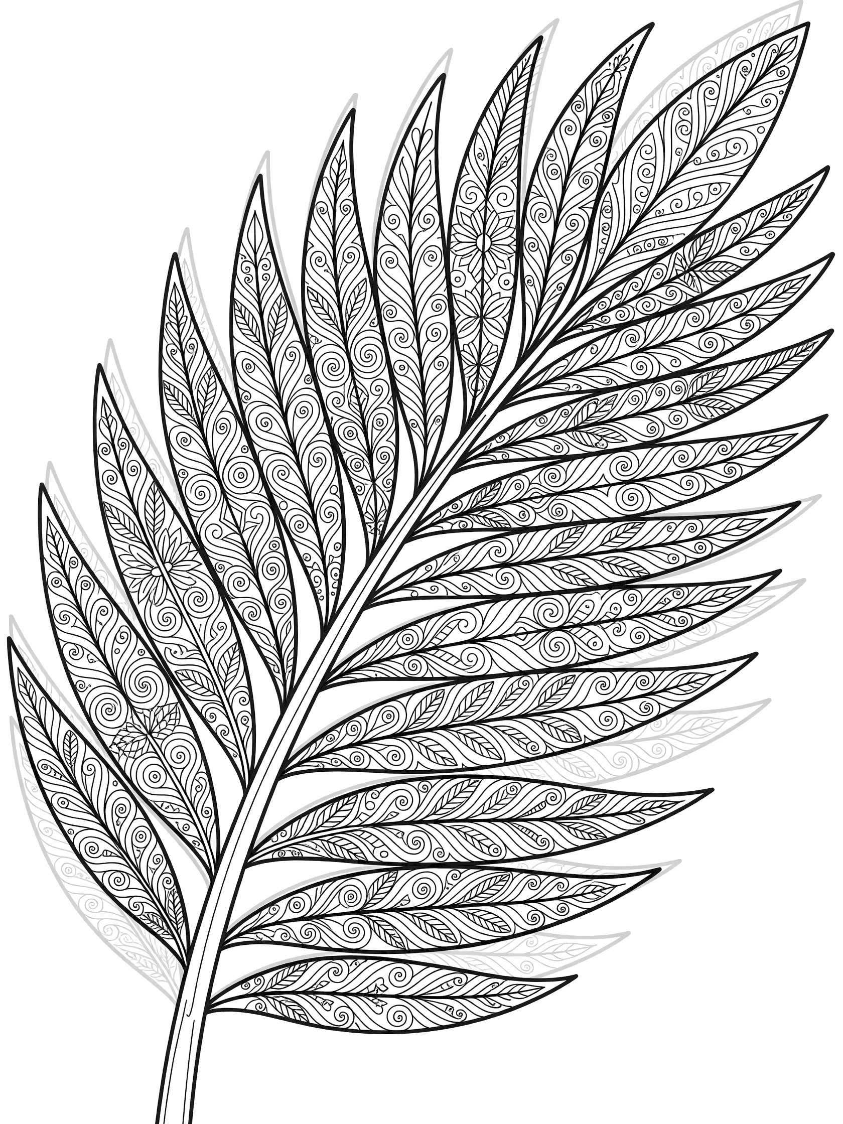Detailed line art coloring page of a palm frond with a curving central stem, radiating leaflets filled with swirling patterns and motifs.